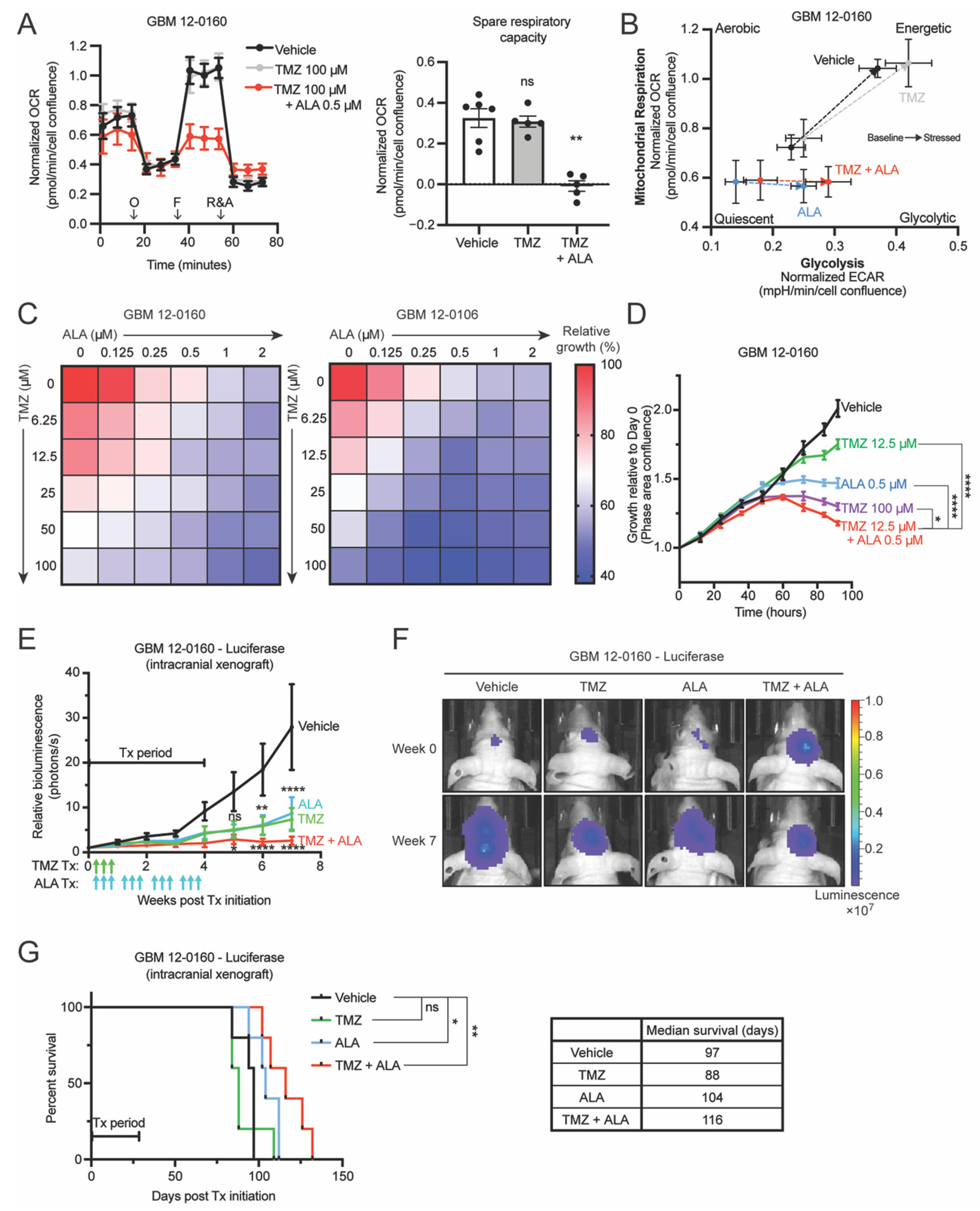 Biomedicines 10 00751 g004