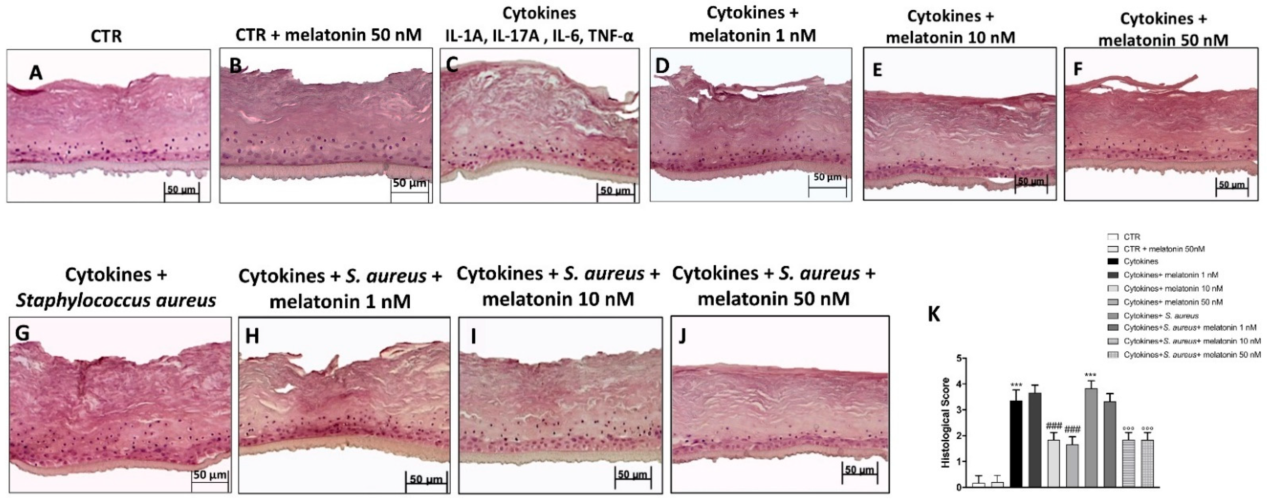 Biomedicines 10 00752 g003