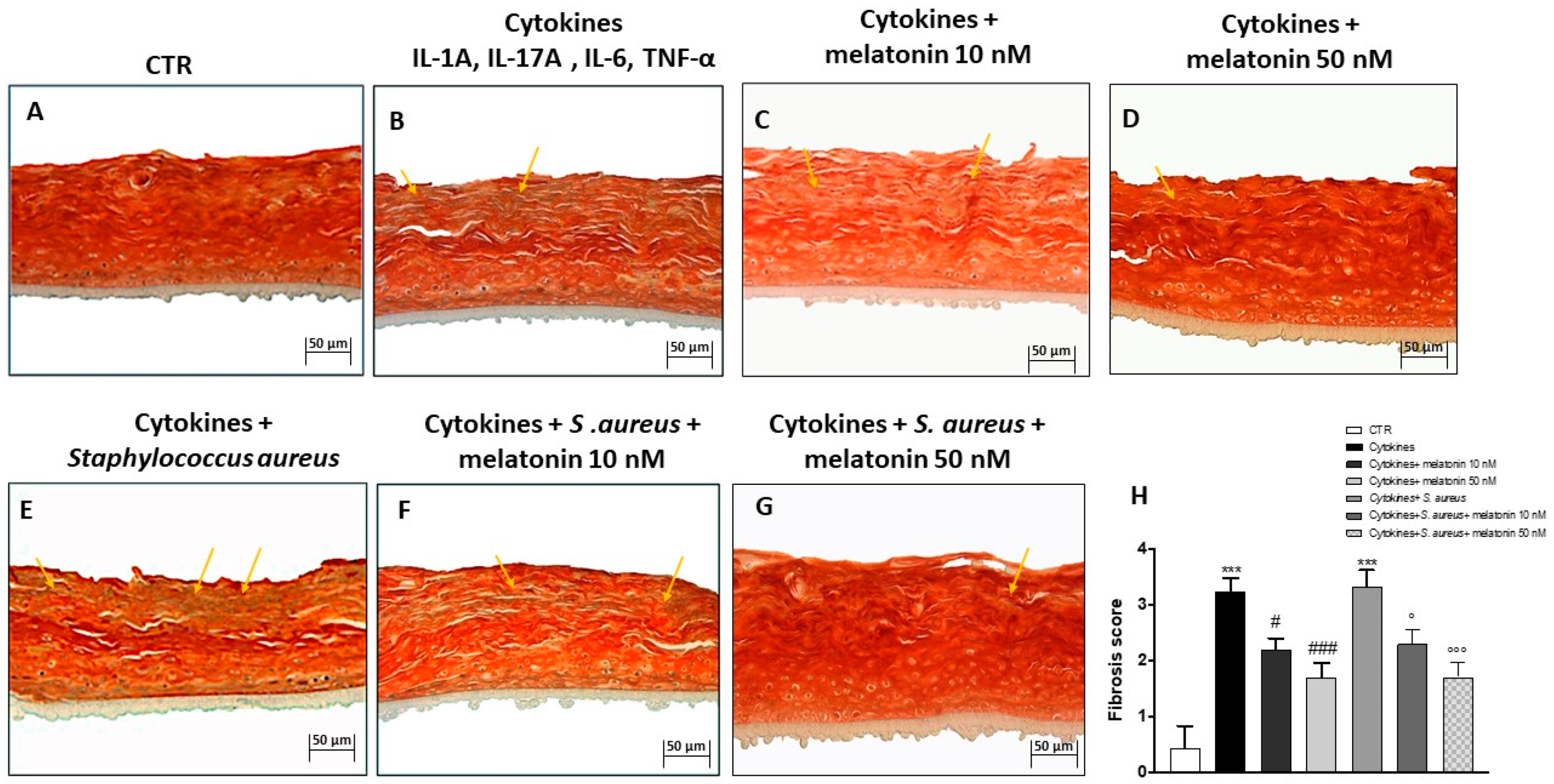 Biomedicines 10 00752 g004