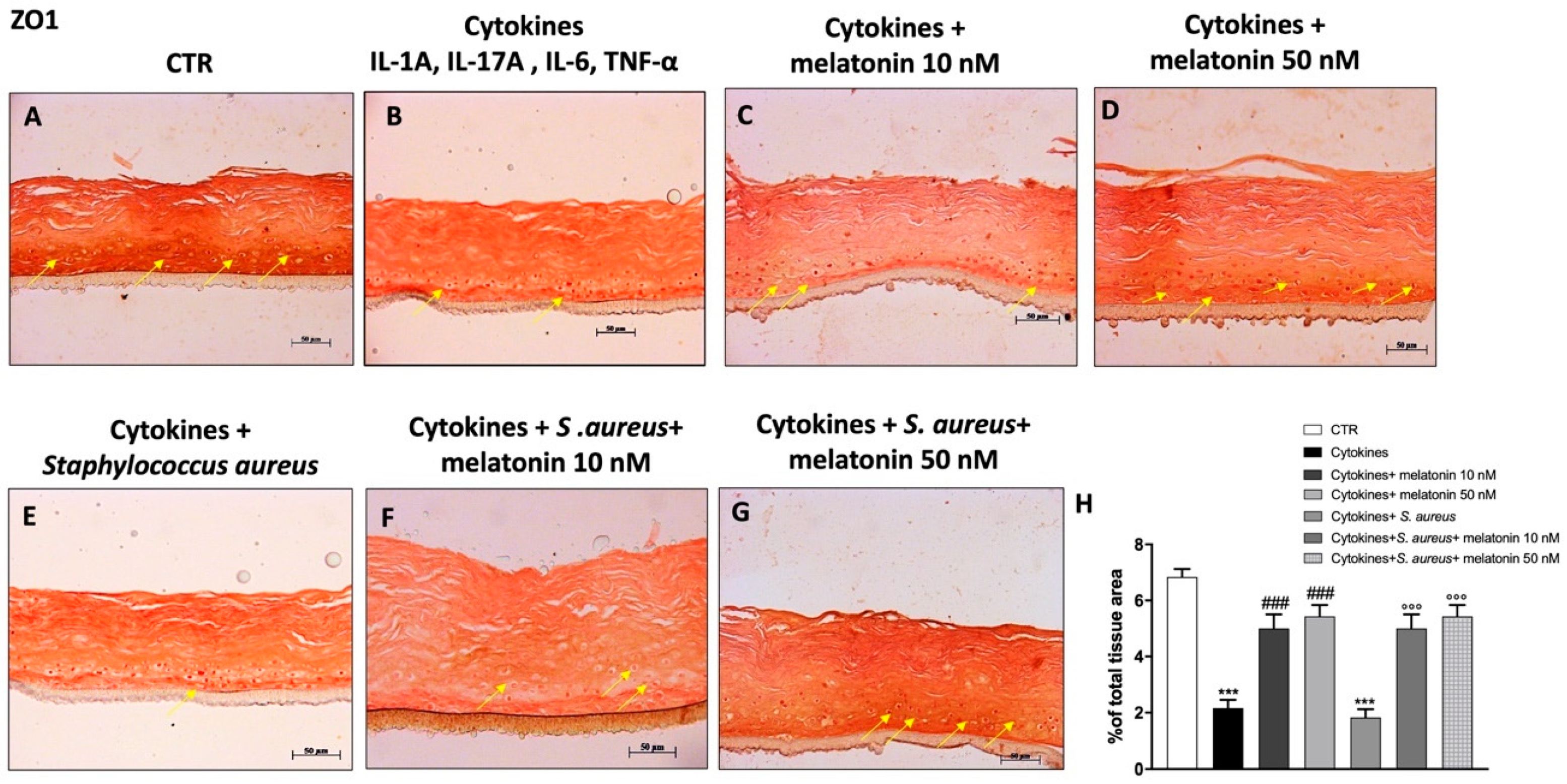 Biomedicines 10 00752 g005