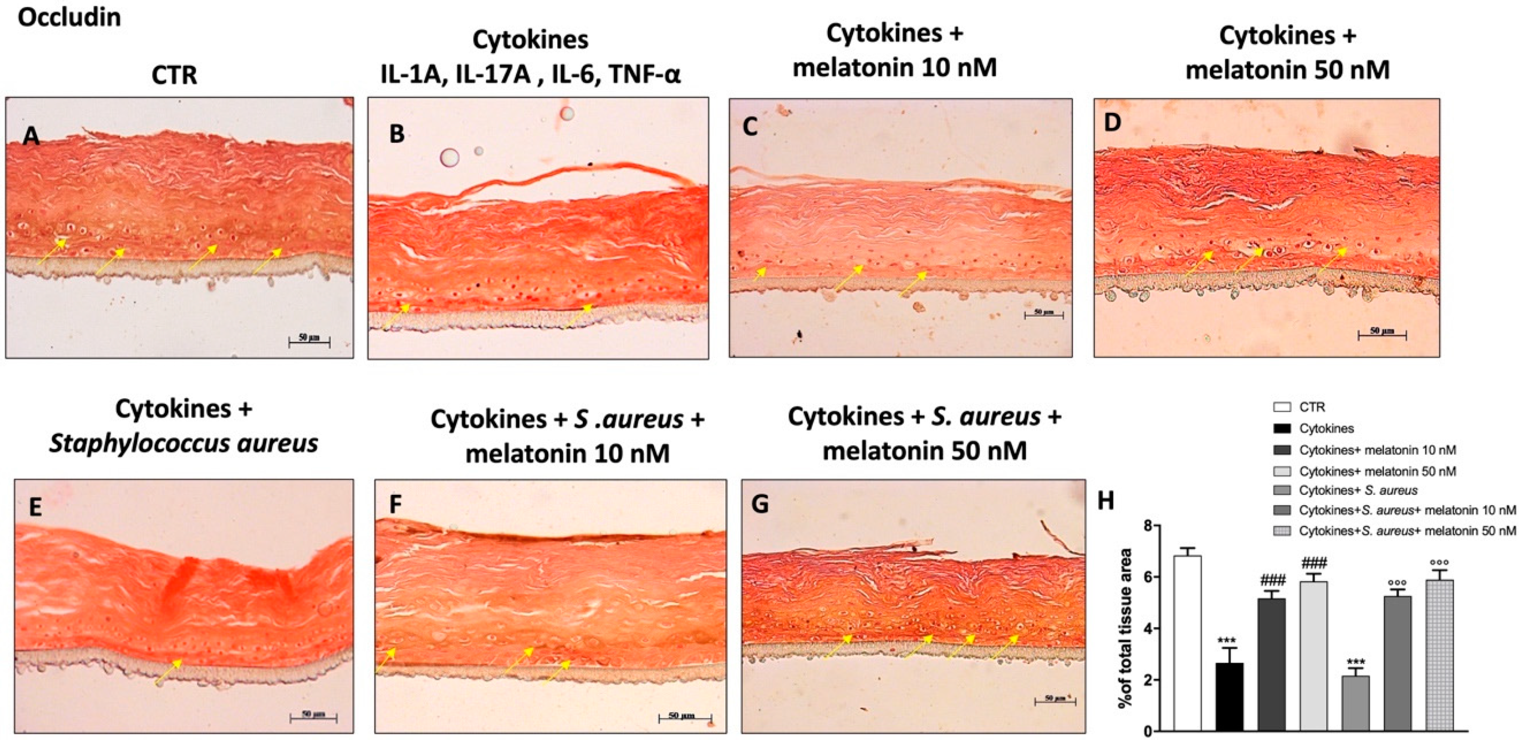 Biomedicines 10 00752 g006