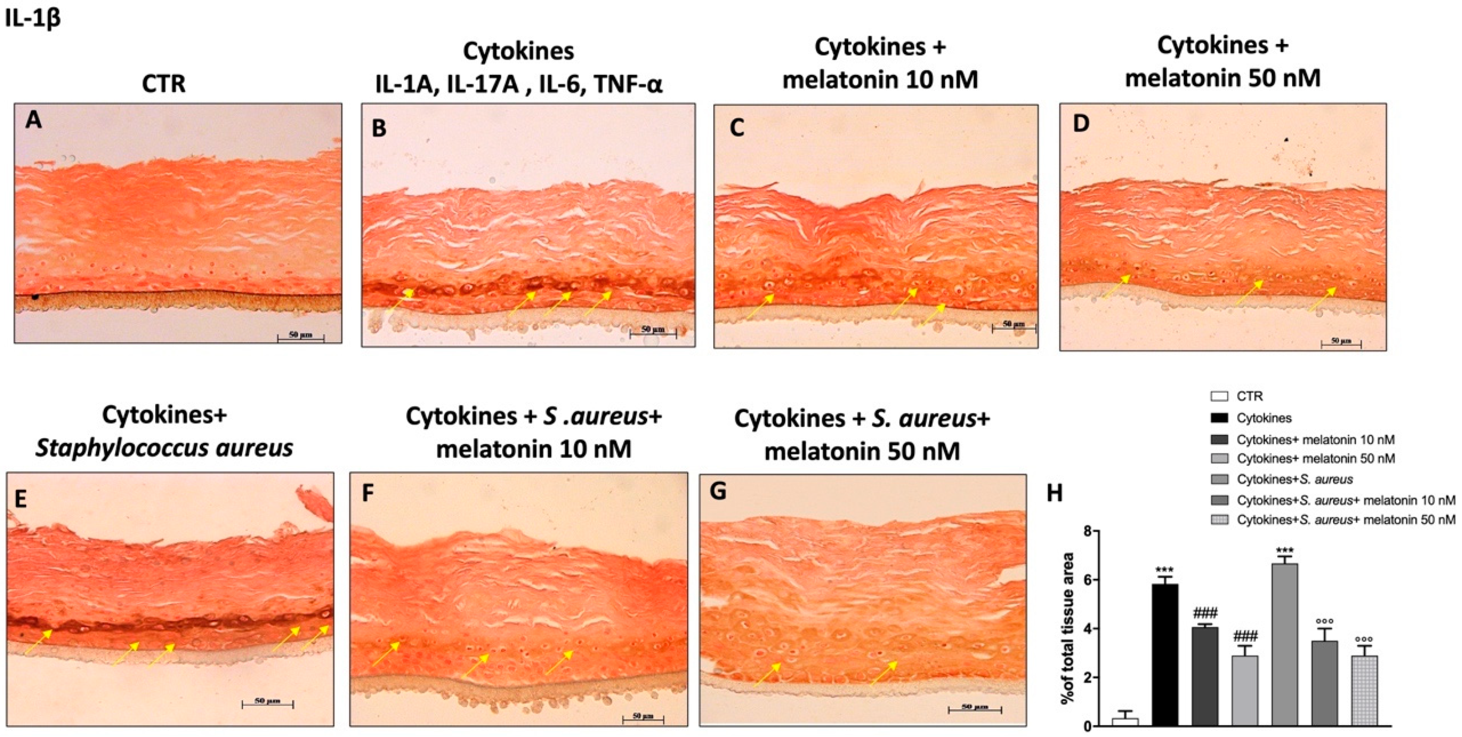 Biomedicines 10 00752 g007