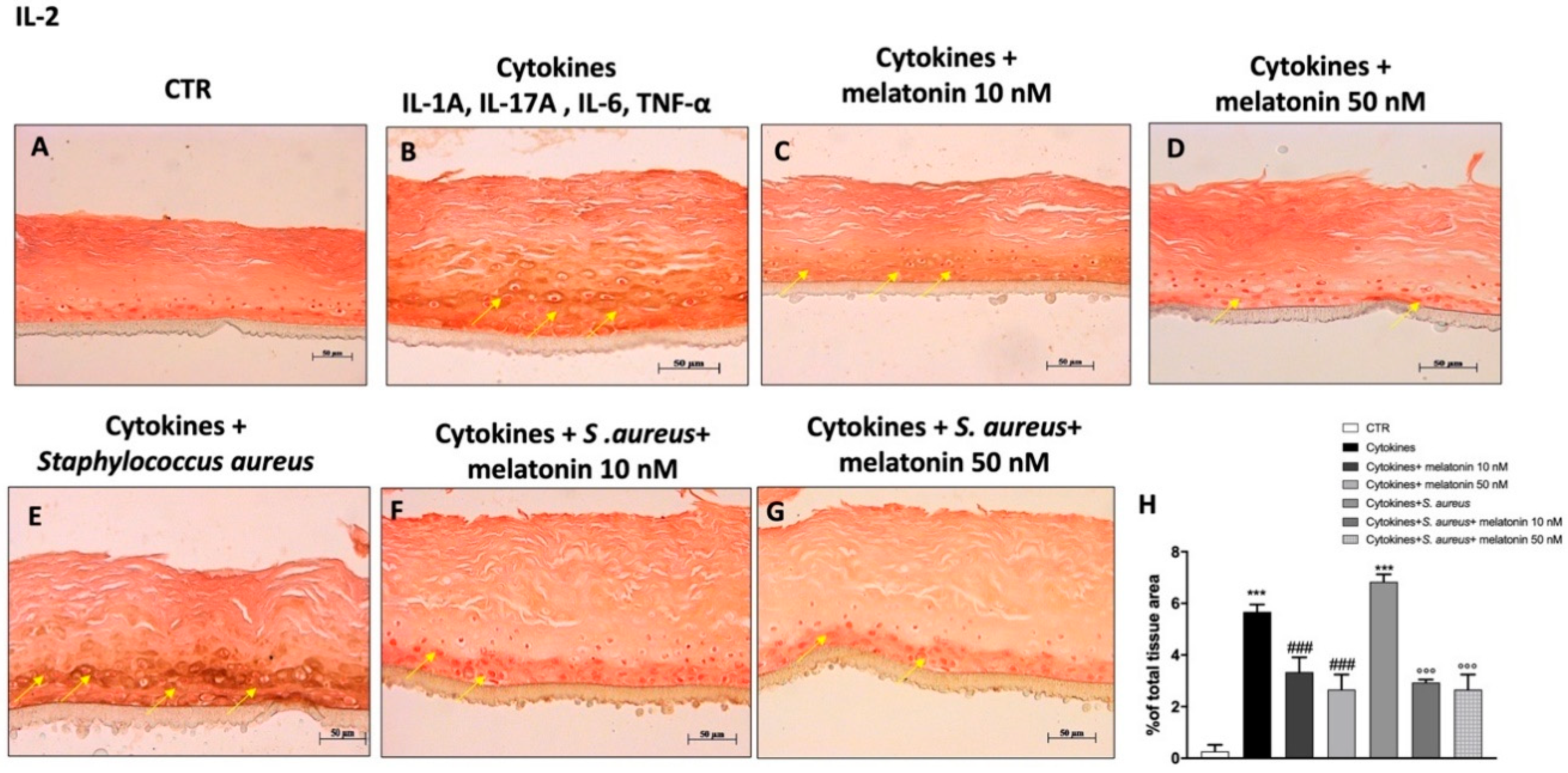 Biomedicines 10 00752 g008