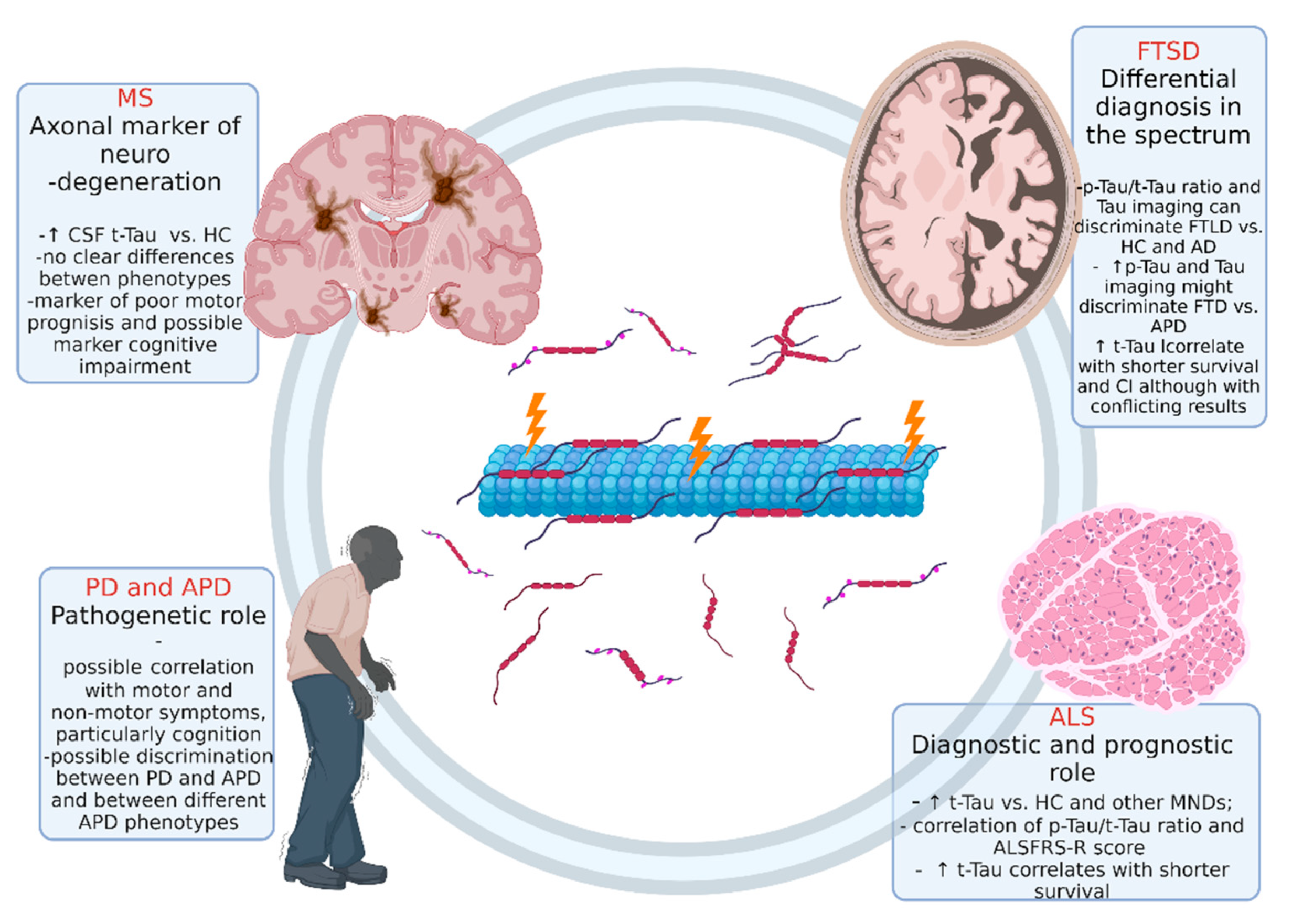 Biomedicines 10 00760 g002 Biomedicines 10 00760 g002
