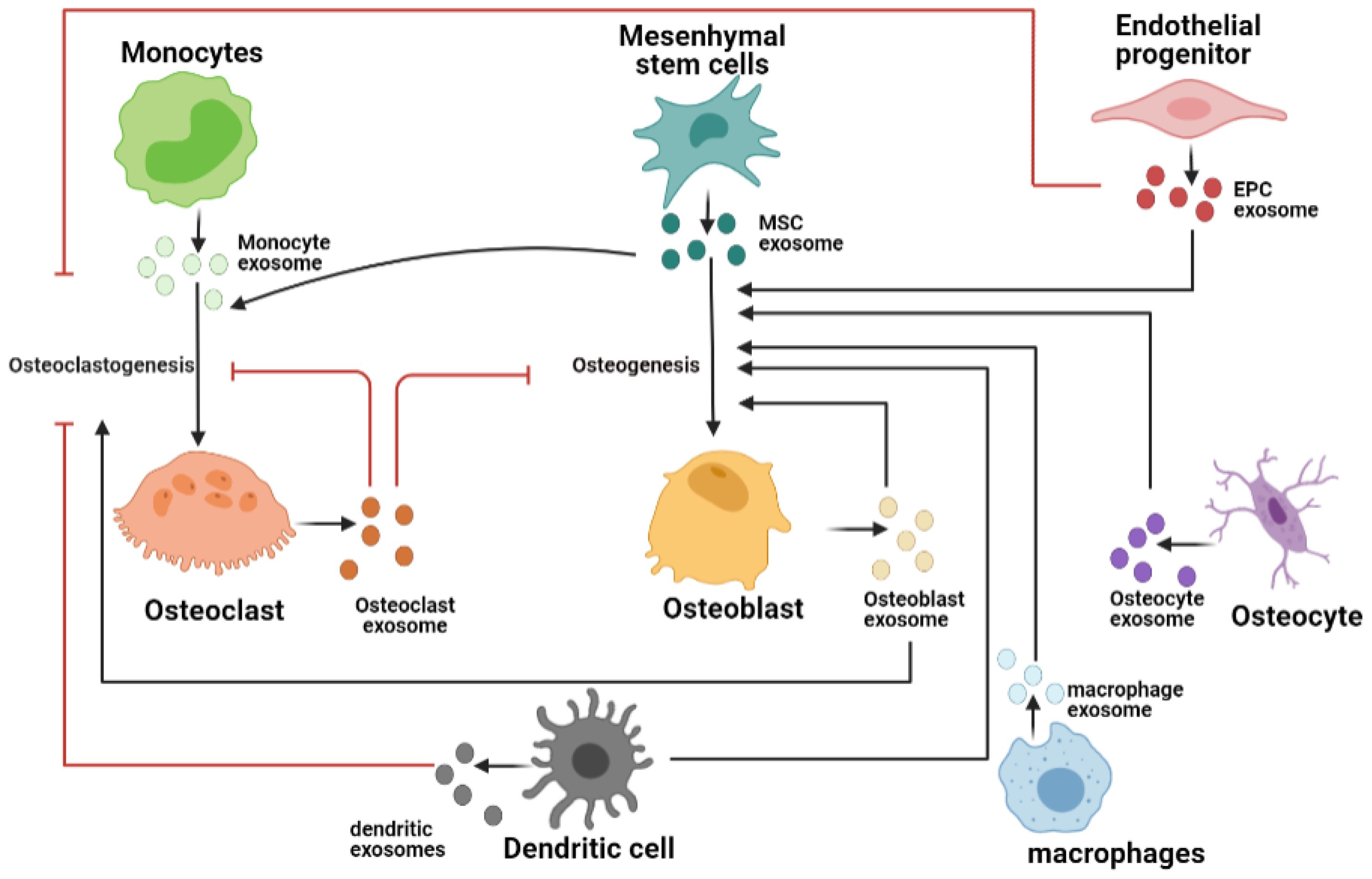 Biomedicines 10 00767 g002