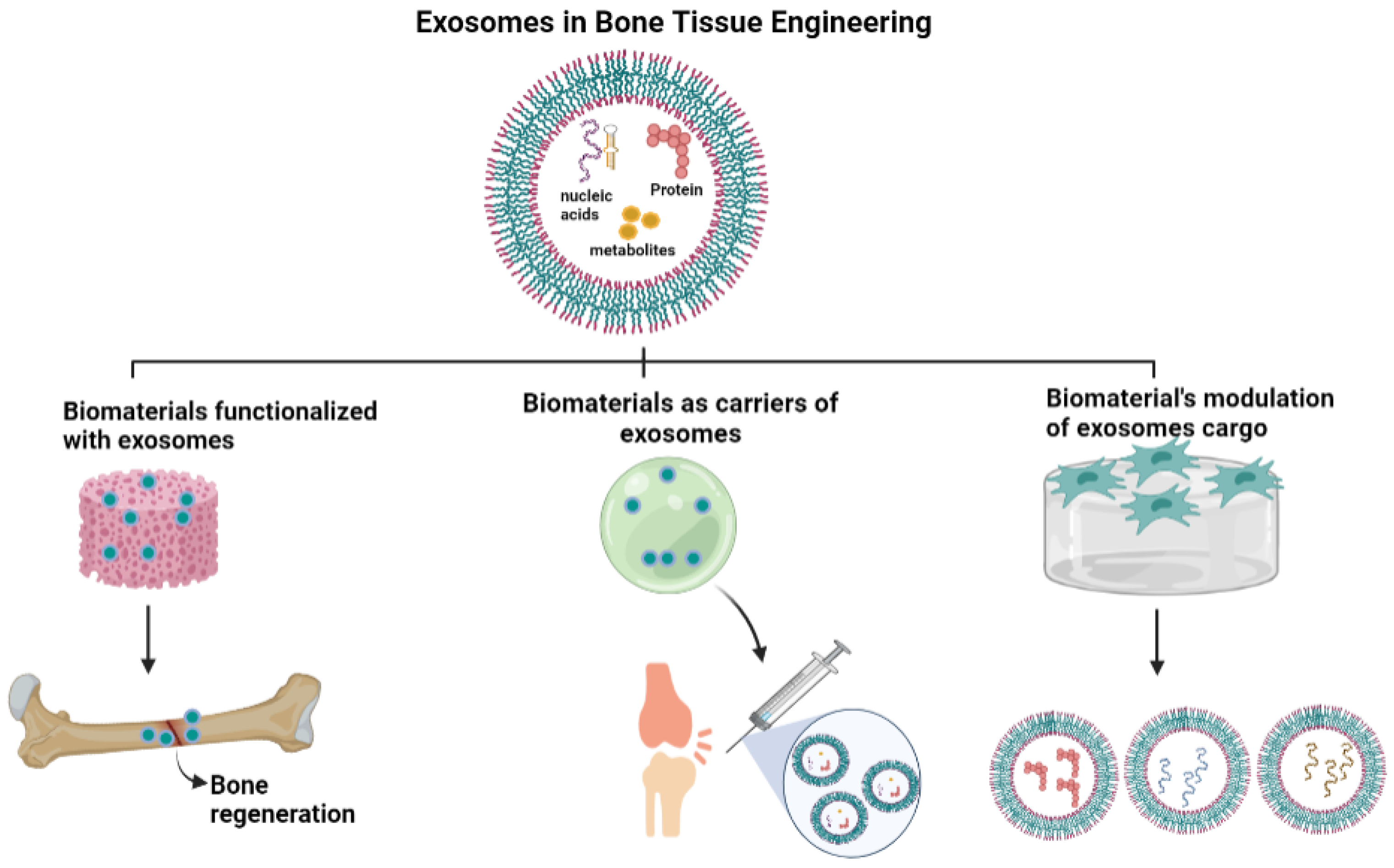 Biomedicines 10 00767 g003