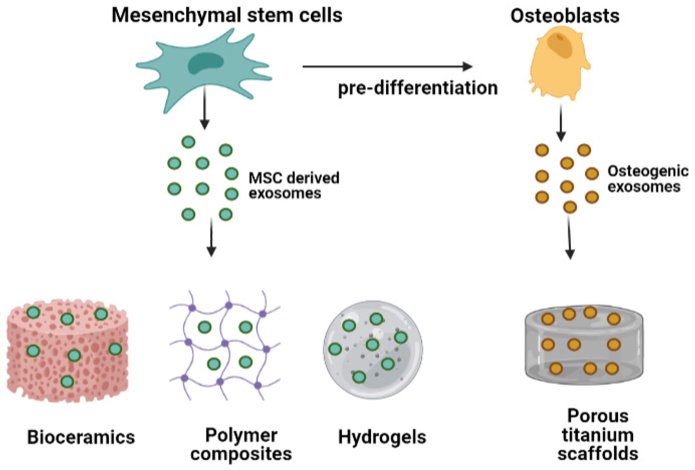 Biomedicines 10 00767 g004