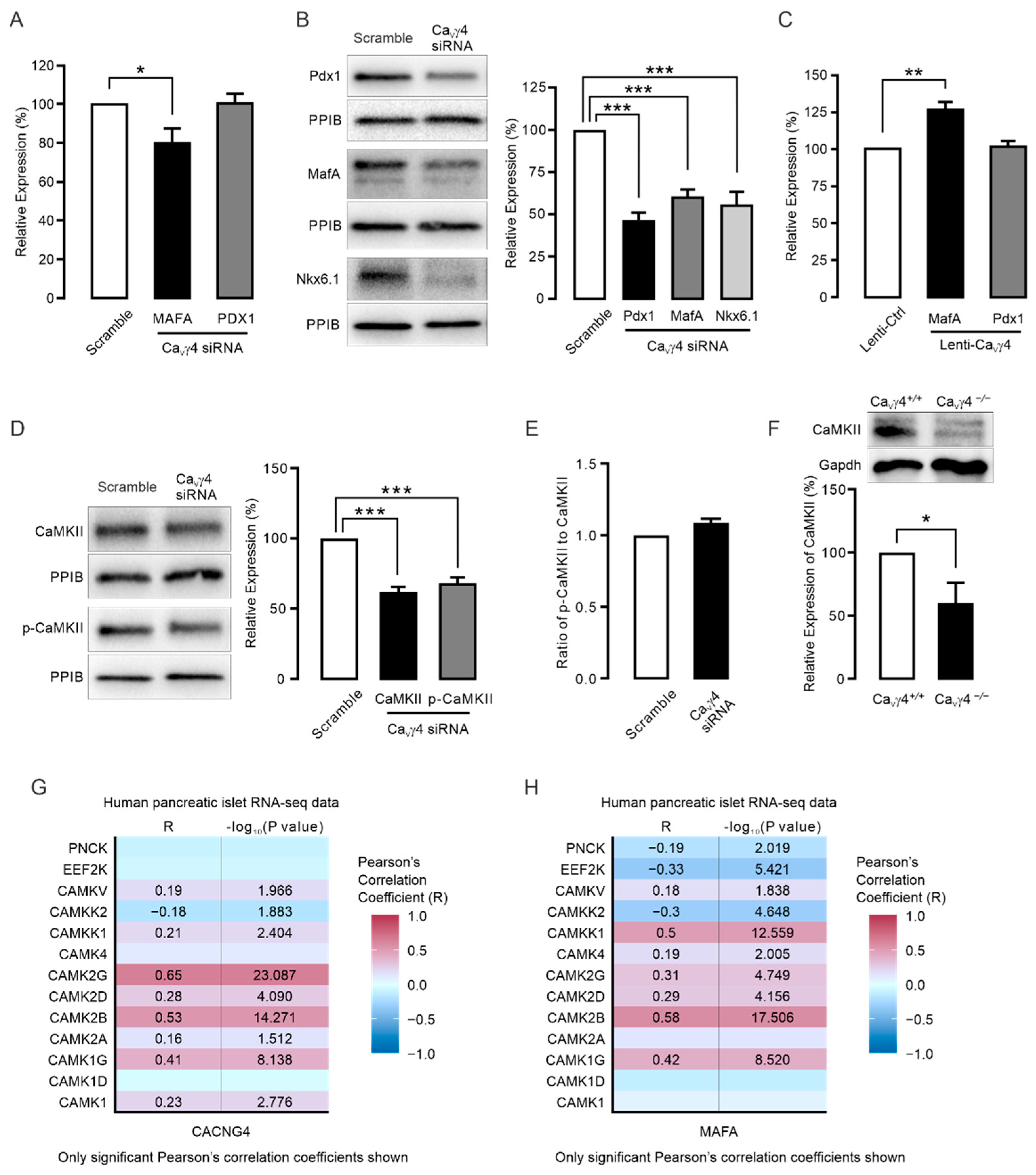 Biomedicines 10 00770 g003