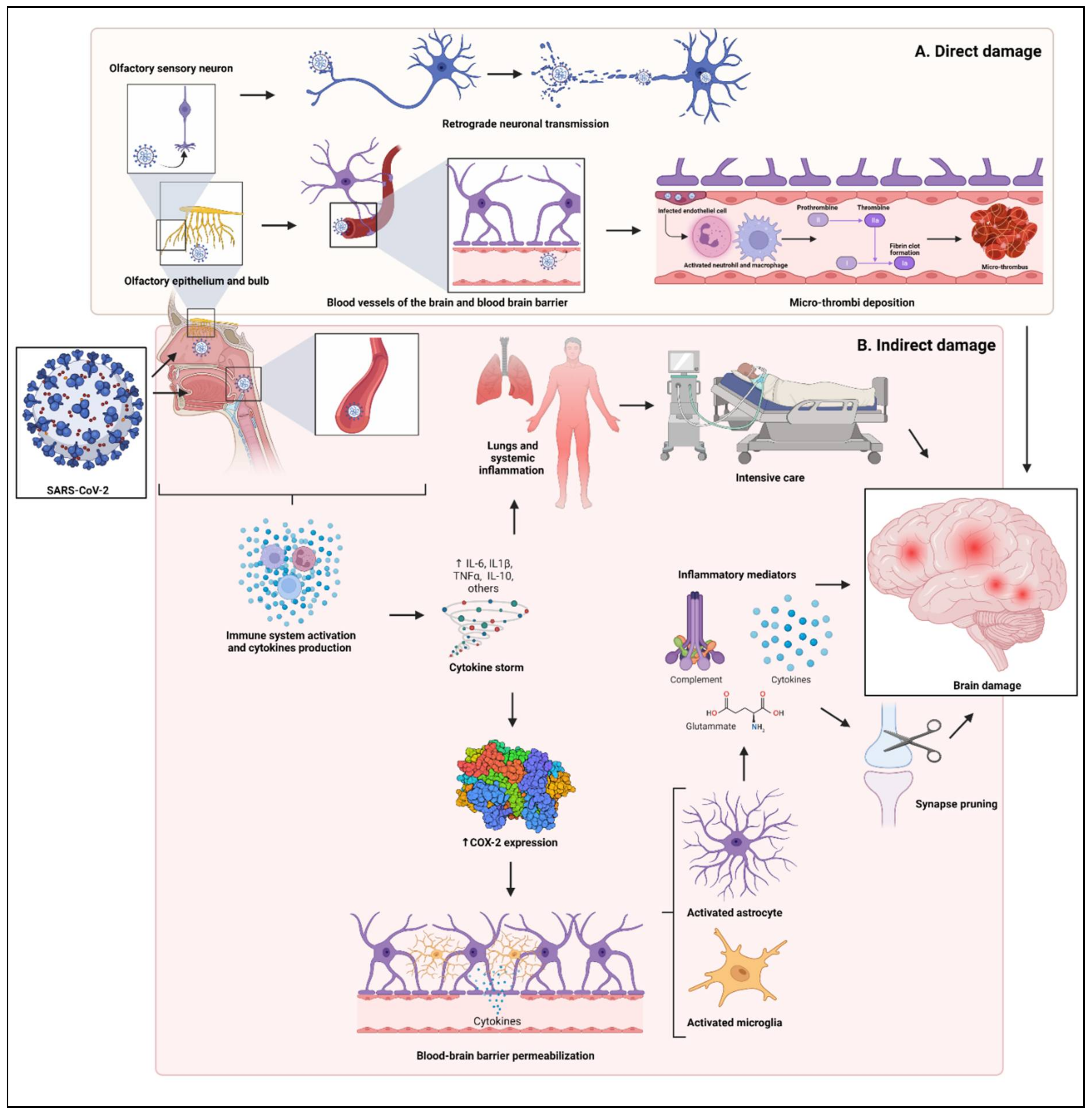 Biomedicines 10 00772 g001