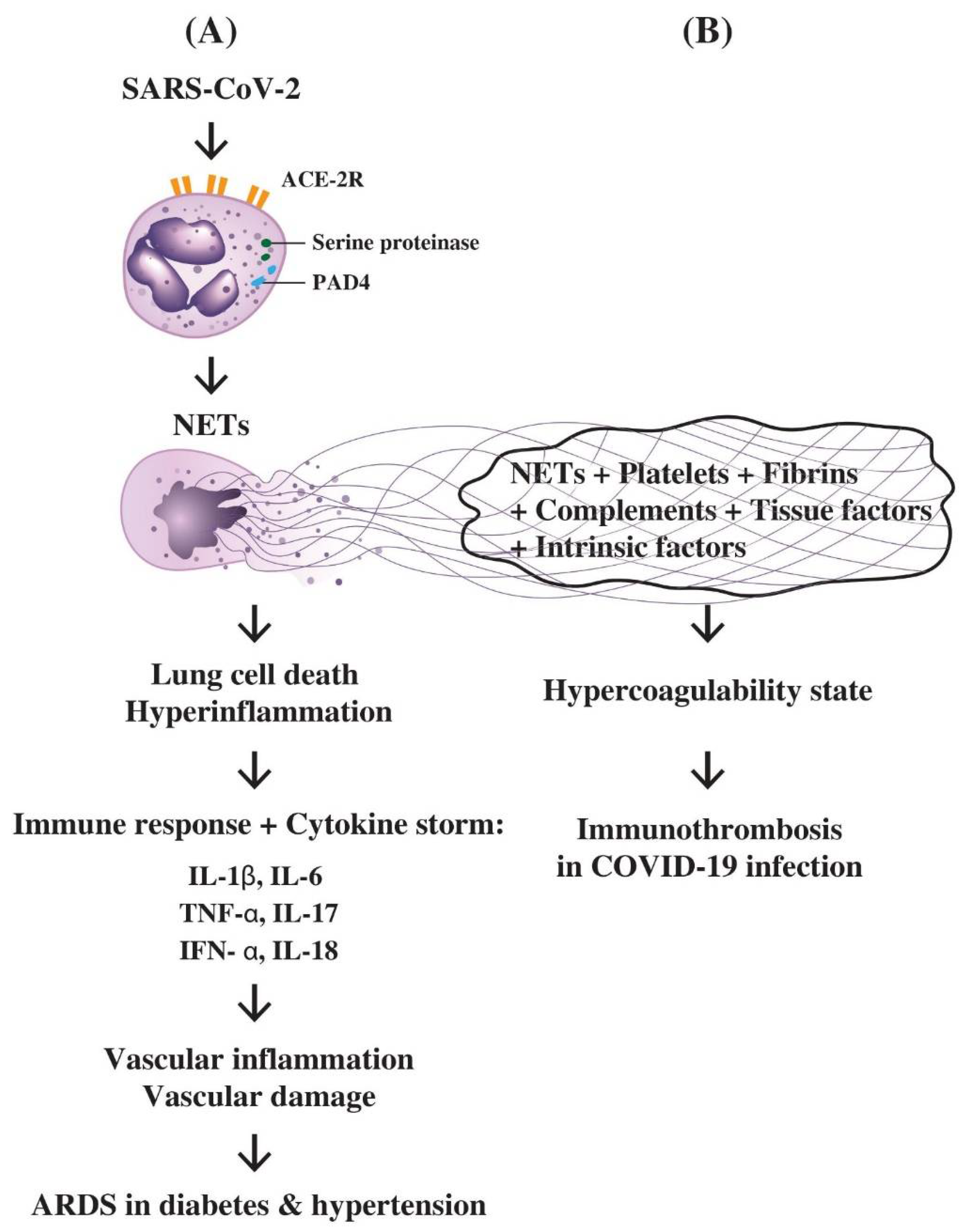 Biomedicines 10 00773 g005