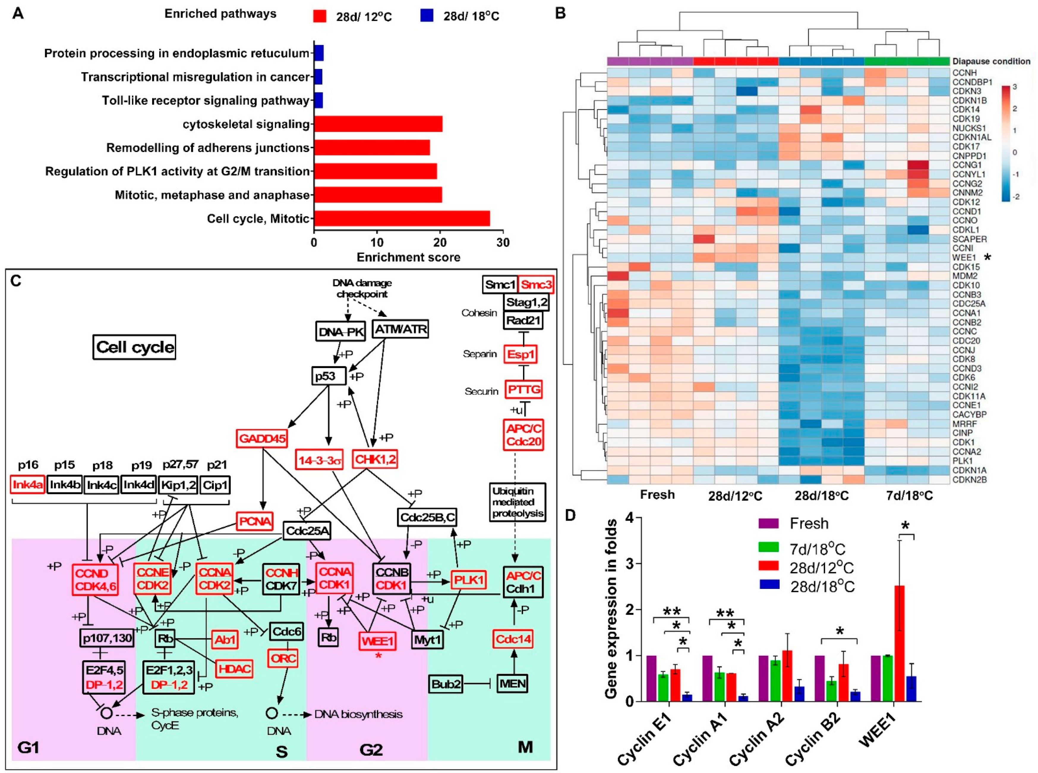 Biomedicines 10 00779 g004 Biomedicines 10 00779 g004