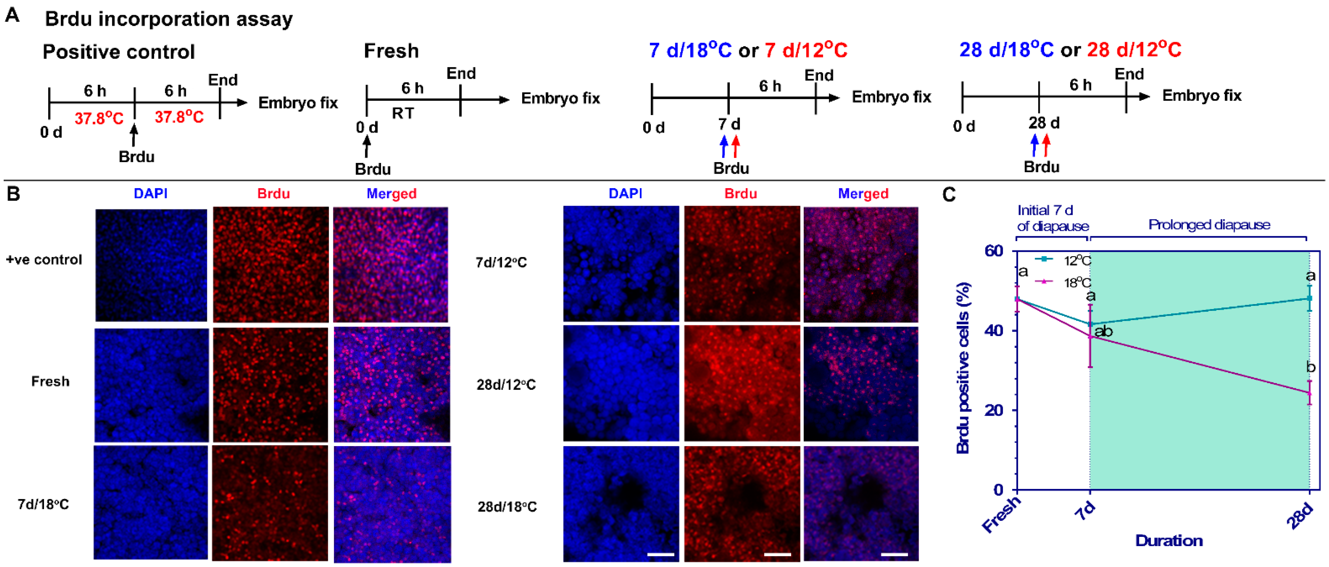 Biomedicines 10 00779 g005 Biomedicines 10 00779 g005