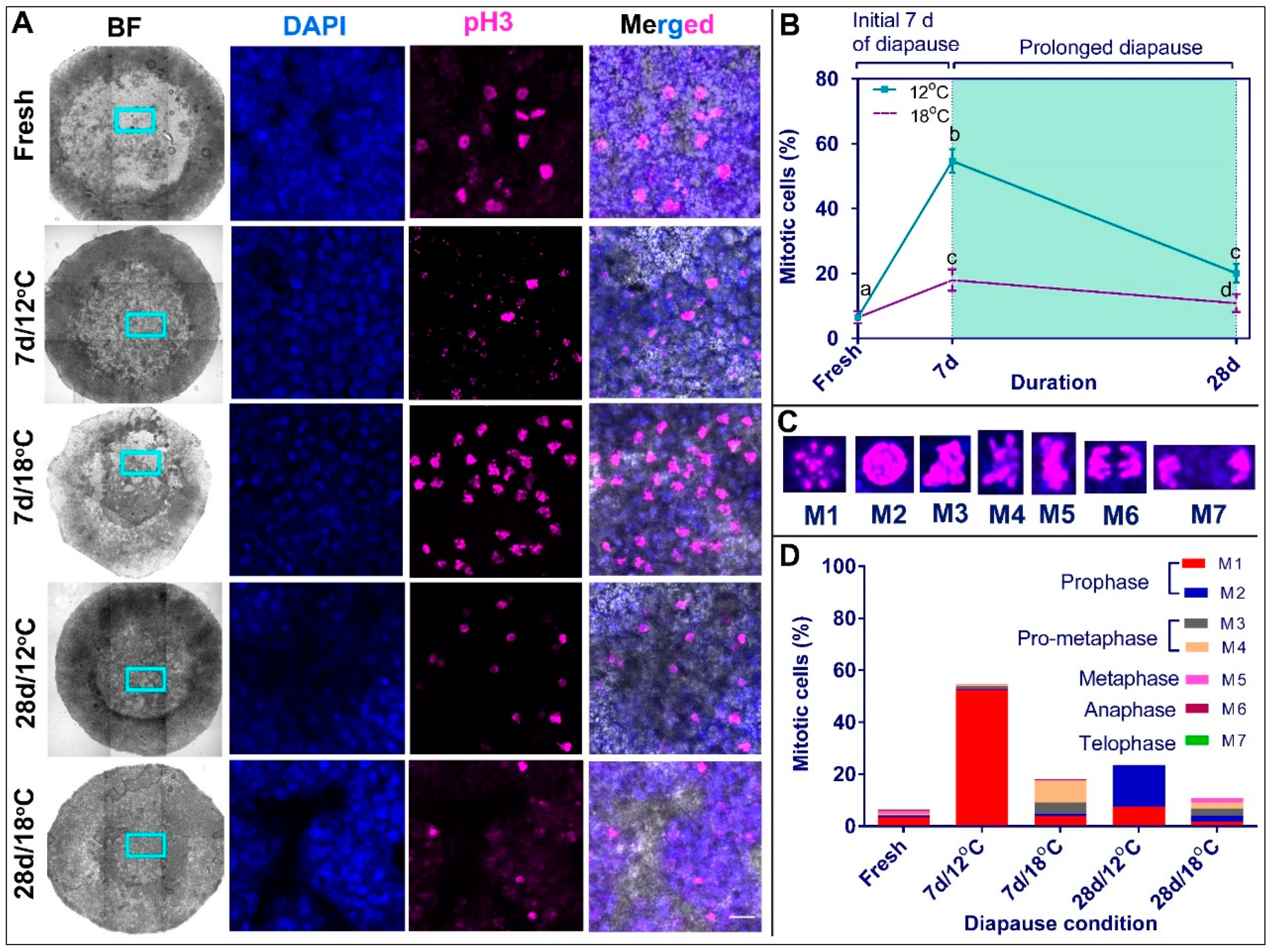 Biomedicines 10 00779 g006 Biomedicines 10 00779 g006