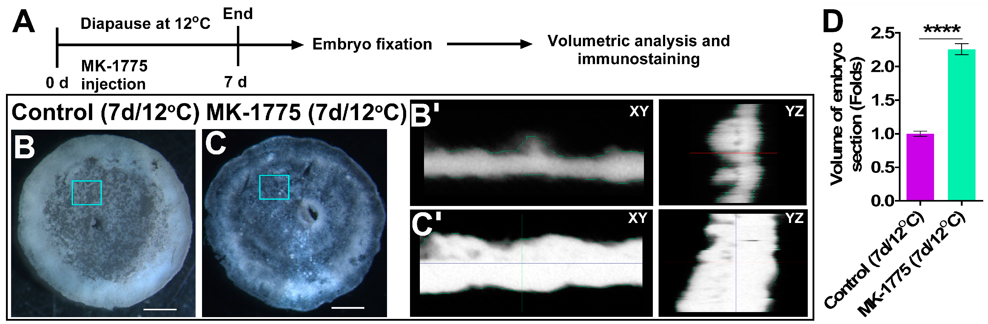 Biomedicines 10 00779 g008 Biomedicines 10 00779 g008