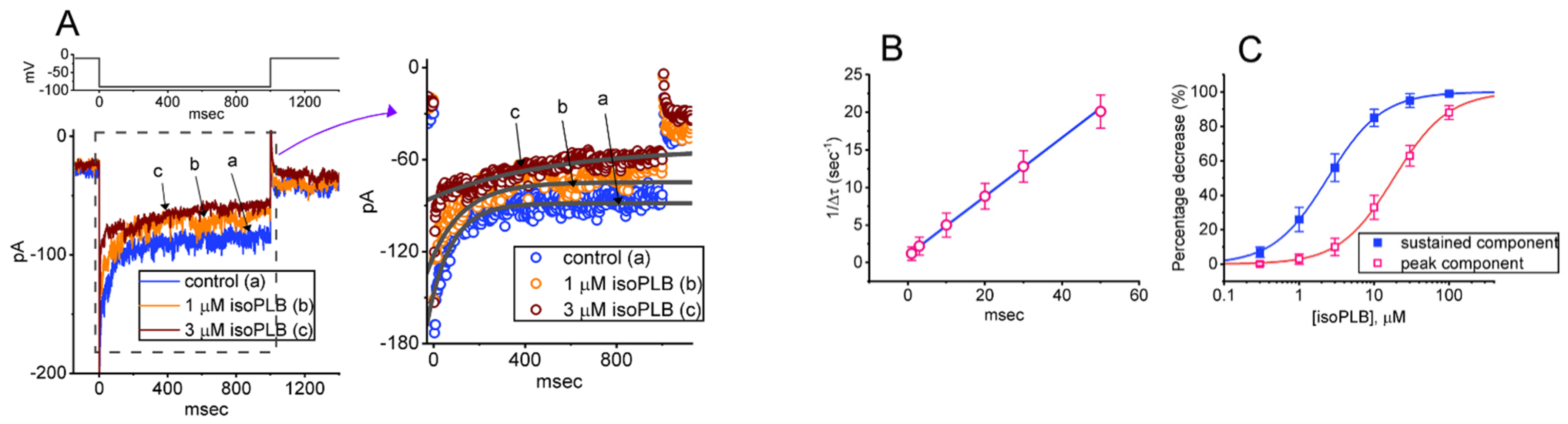 Biomedicines 10 00780 g001