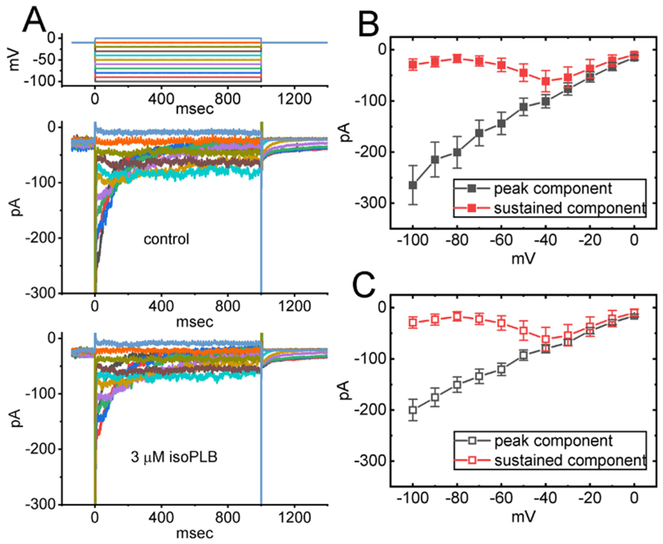 Biomedicines 10 00780 g002