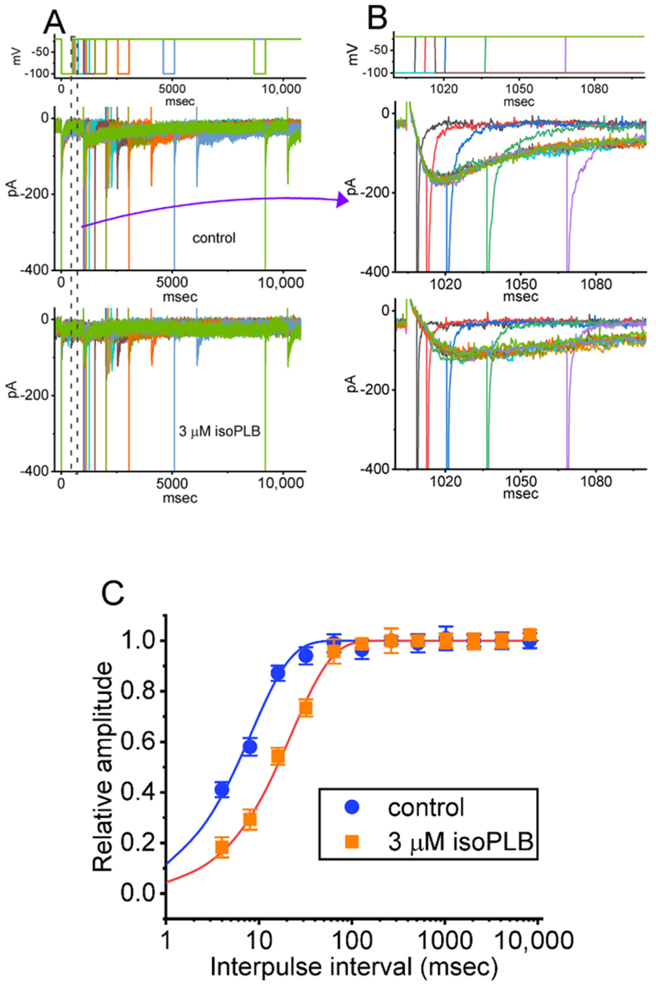 Biomedicines 10 00780 g004