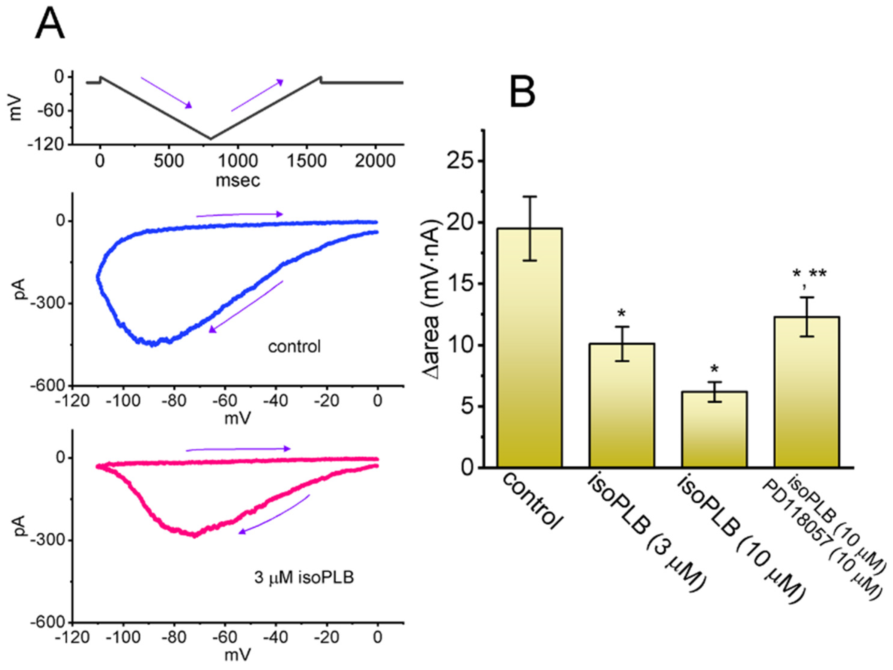 Biomedicines 10 00780 g006