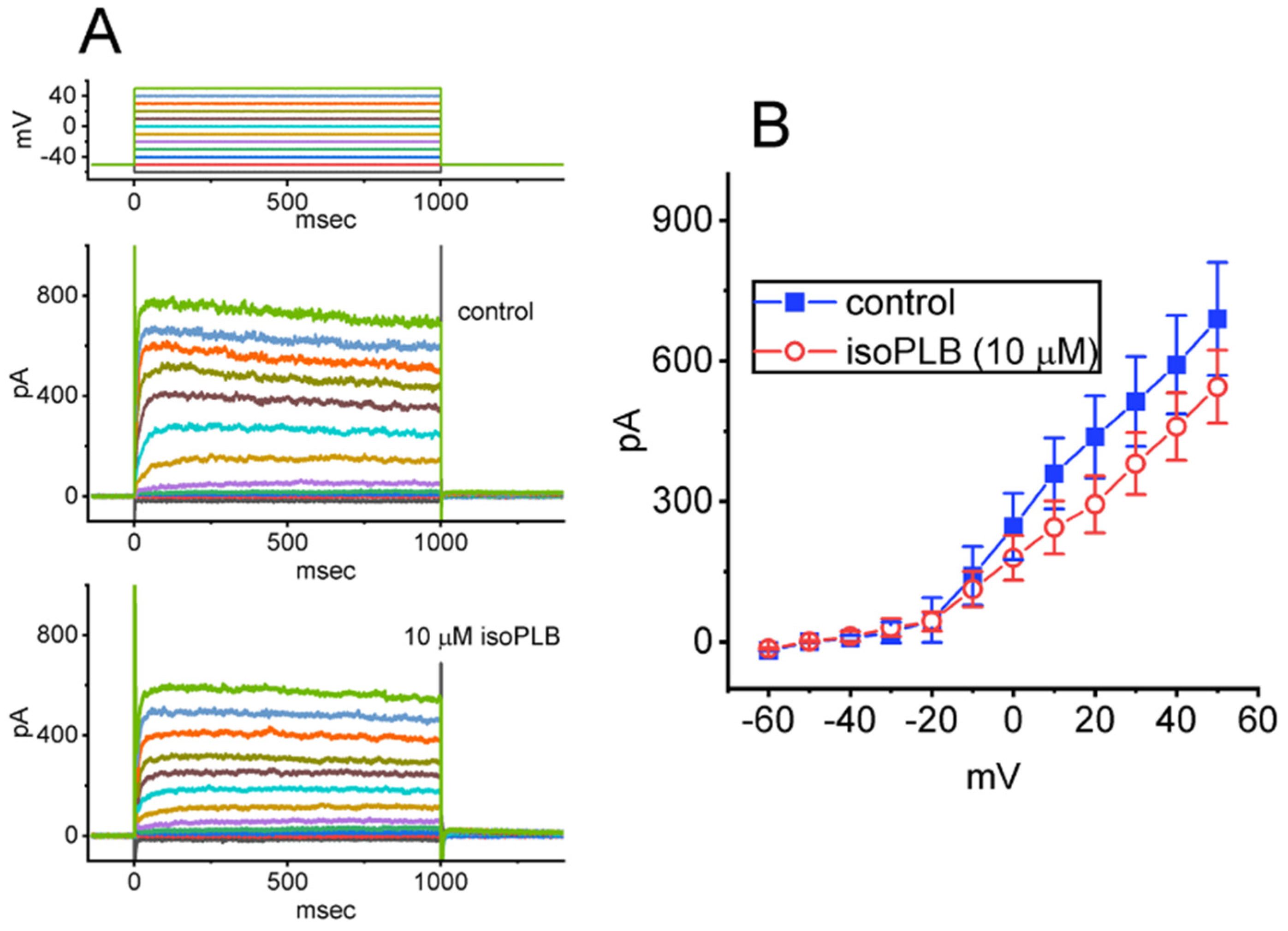 Biomedicines 10 00780 g007