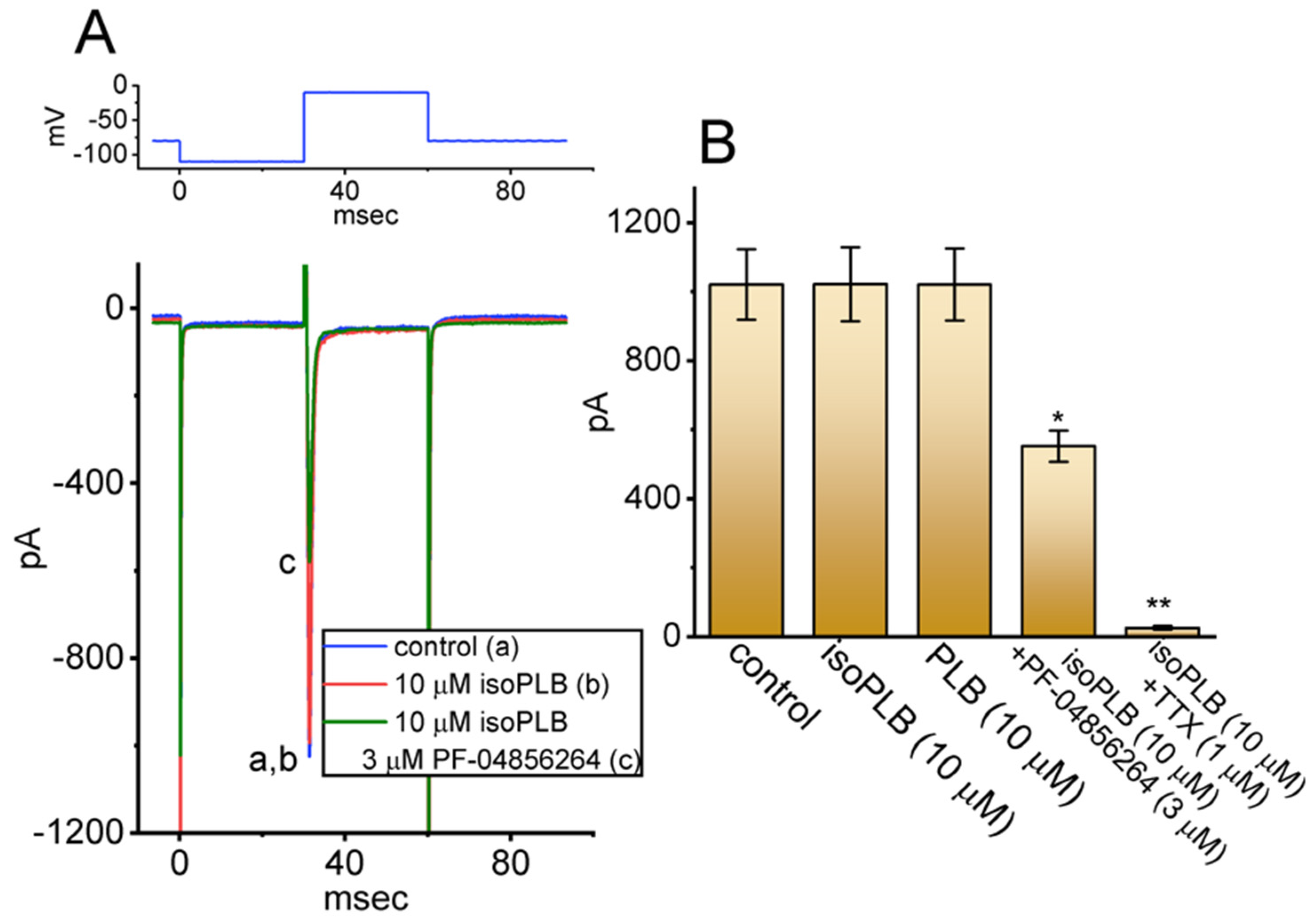 Biomedicines 10 00780 g008