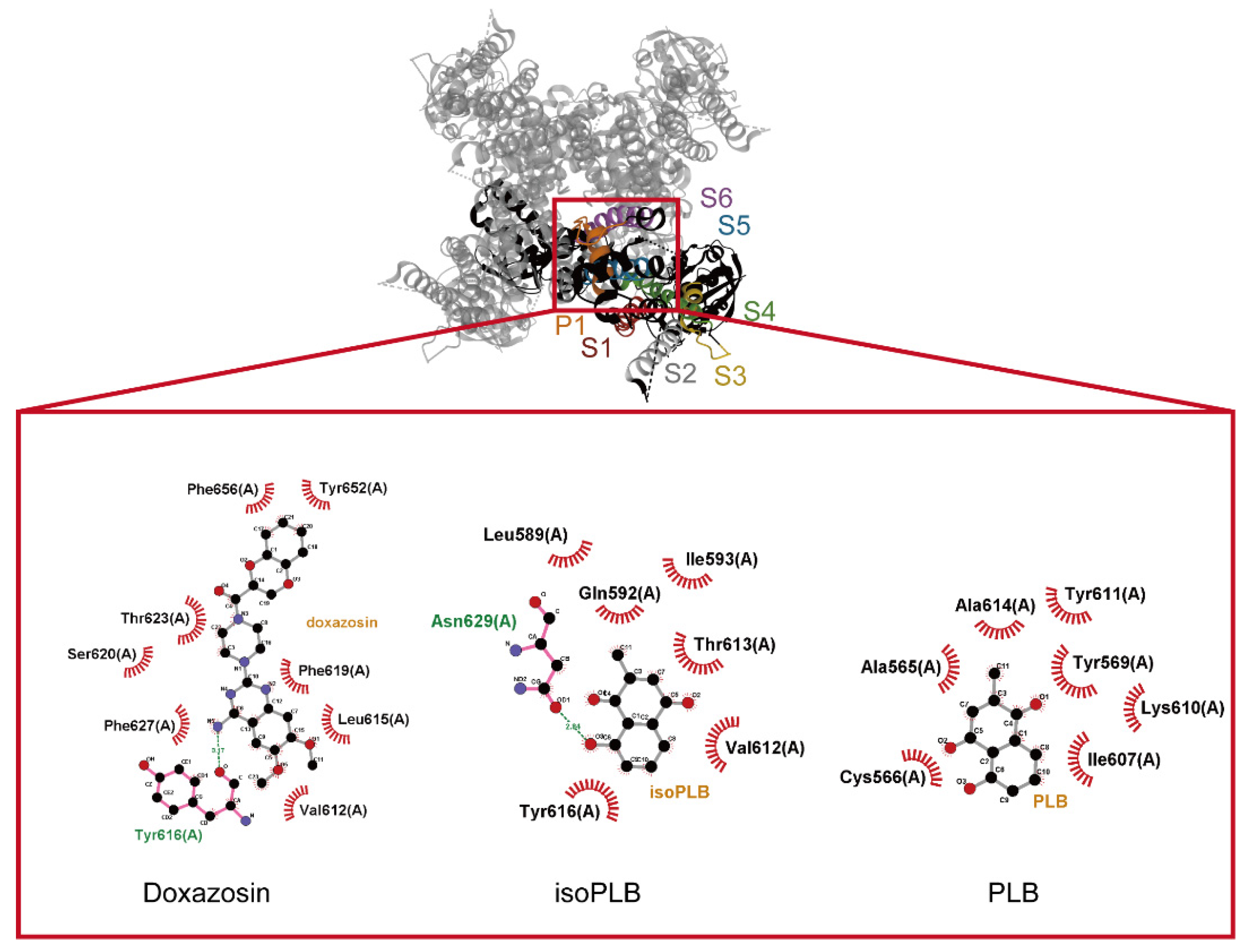 Biomedicines 10 00780 g010