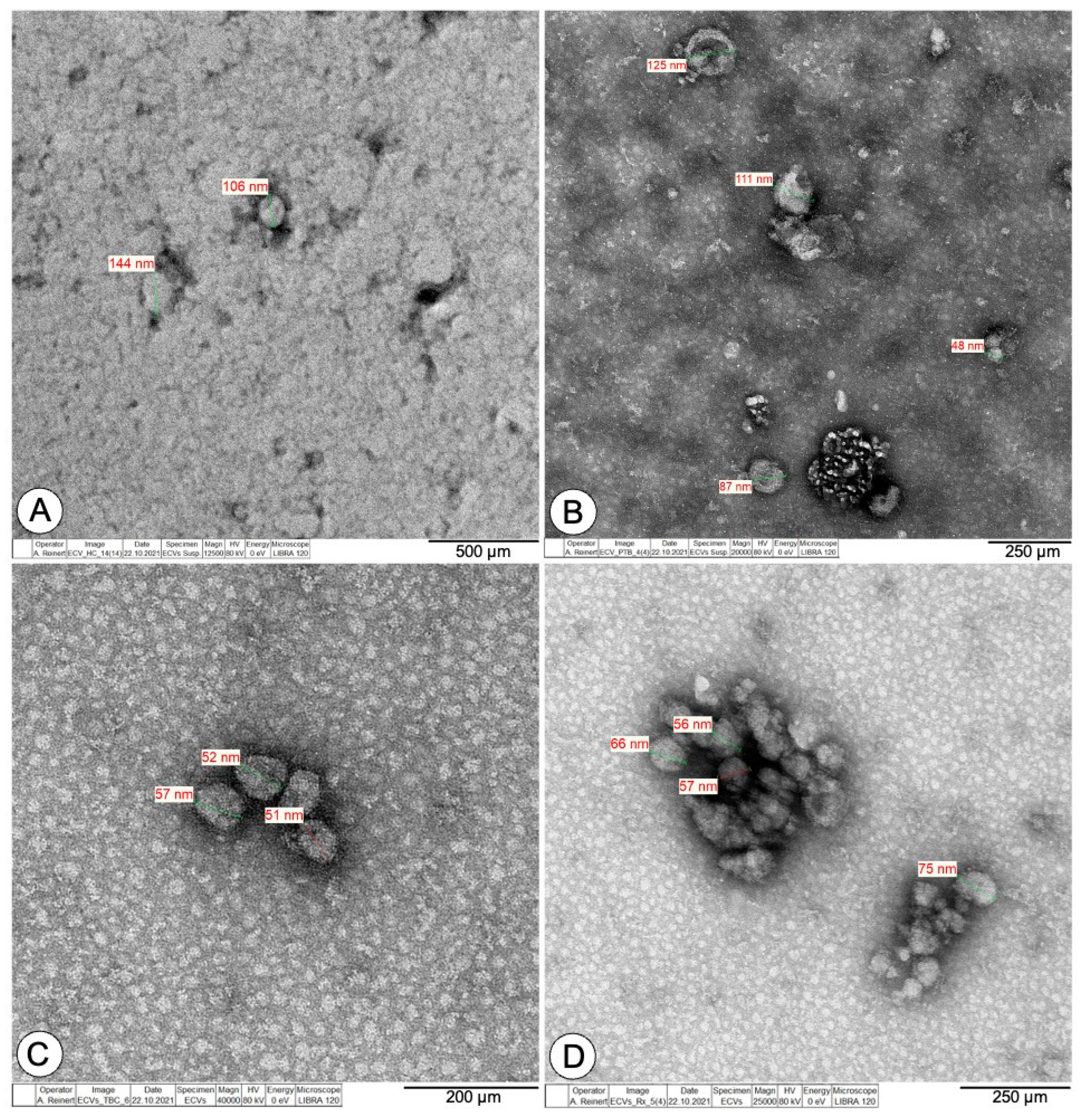 Biomedicines 10 00783 g001