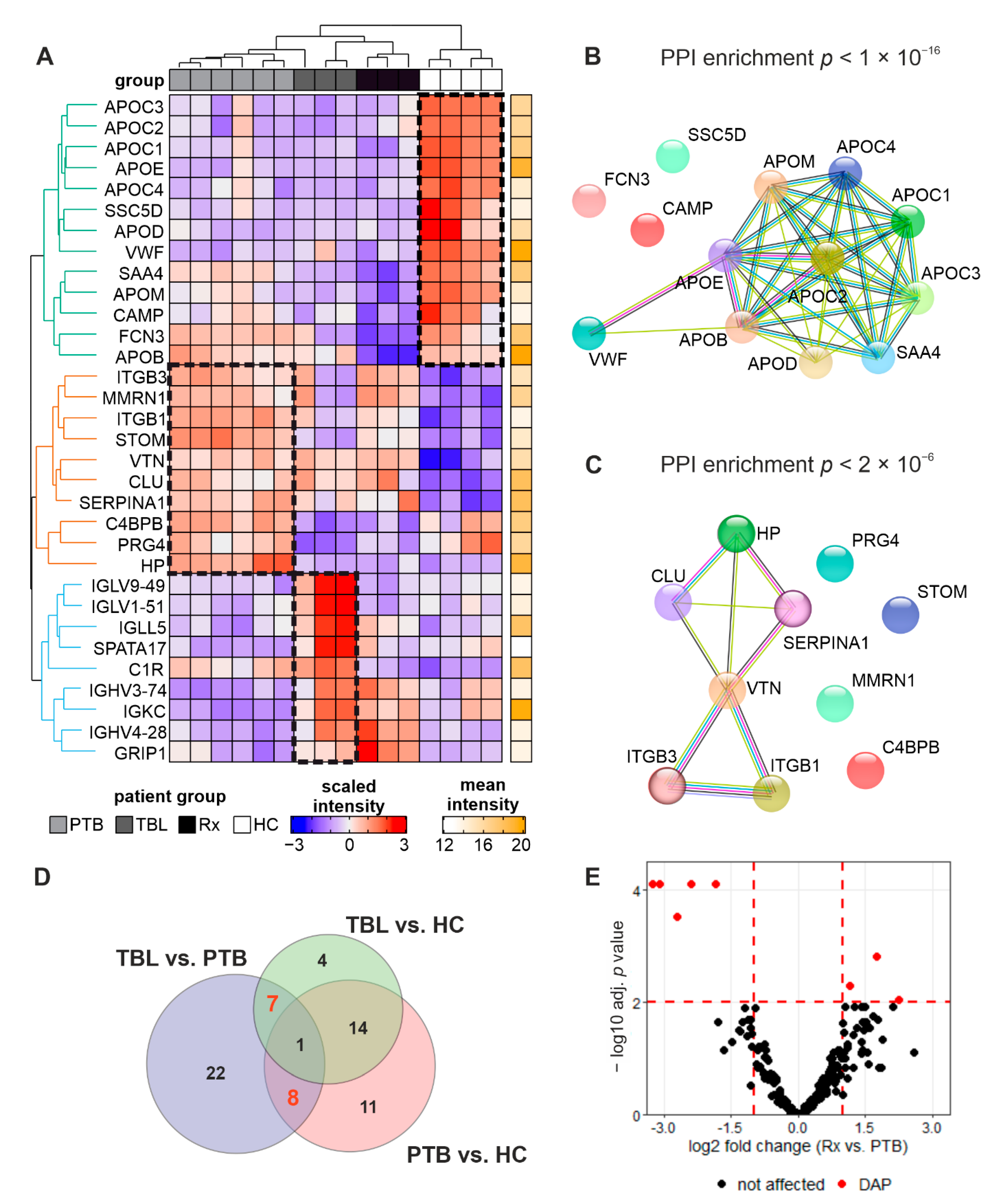Biomedicines 10 00783 g007