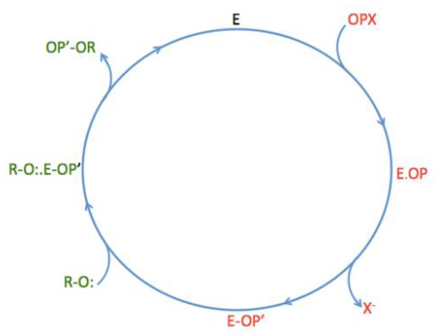 Biomedicines 10 00784 g002
