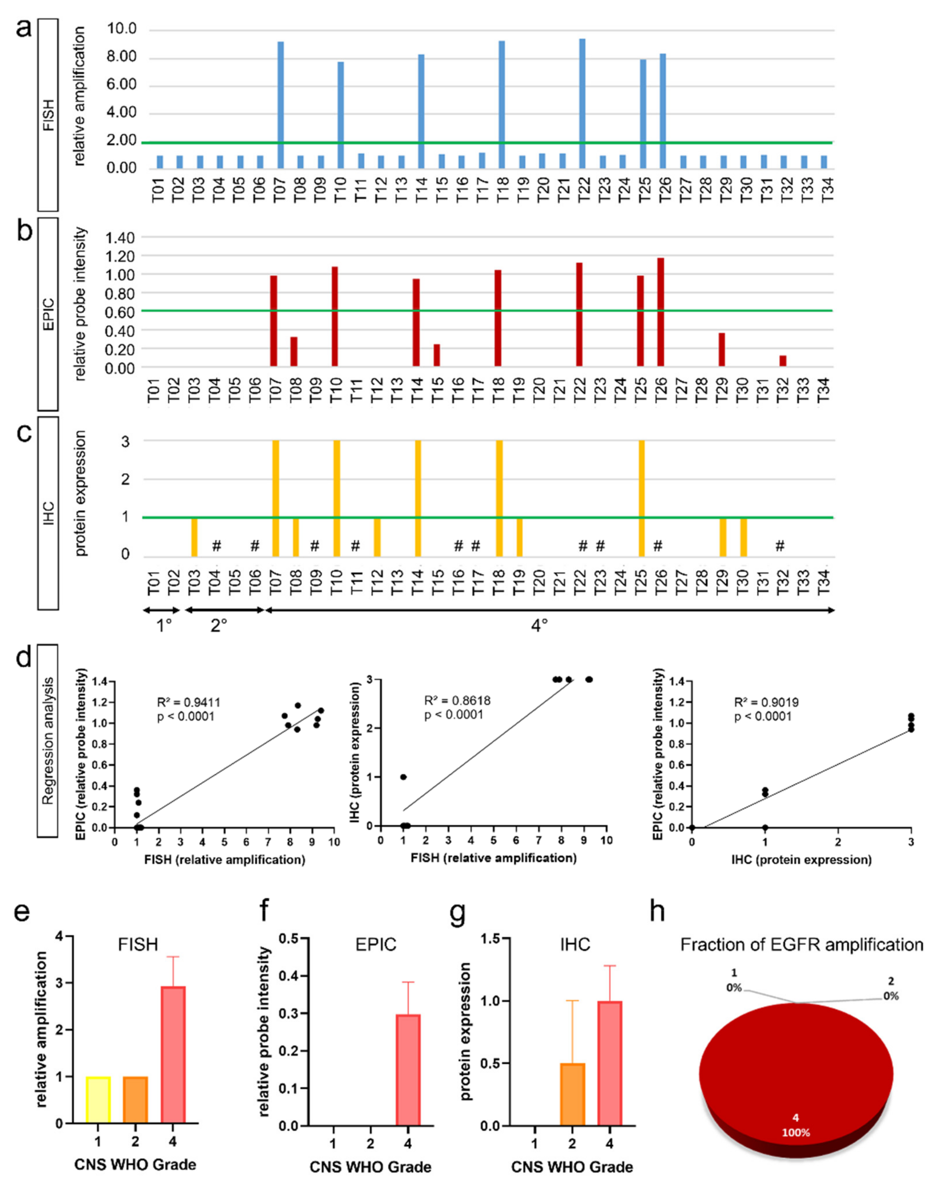 Biomedicines 10 00794 g002