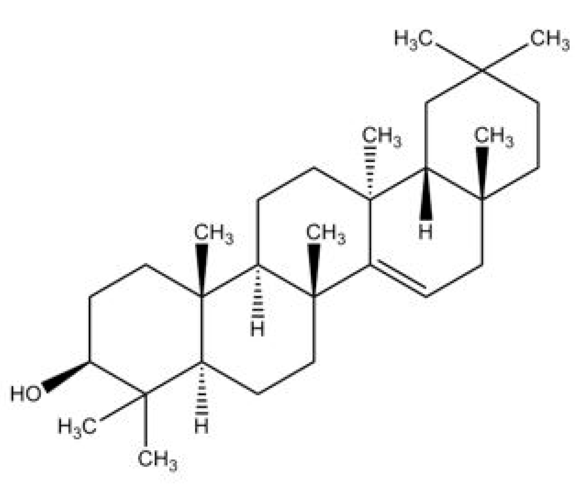 Biomedicines 10 00807 g001