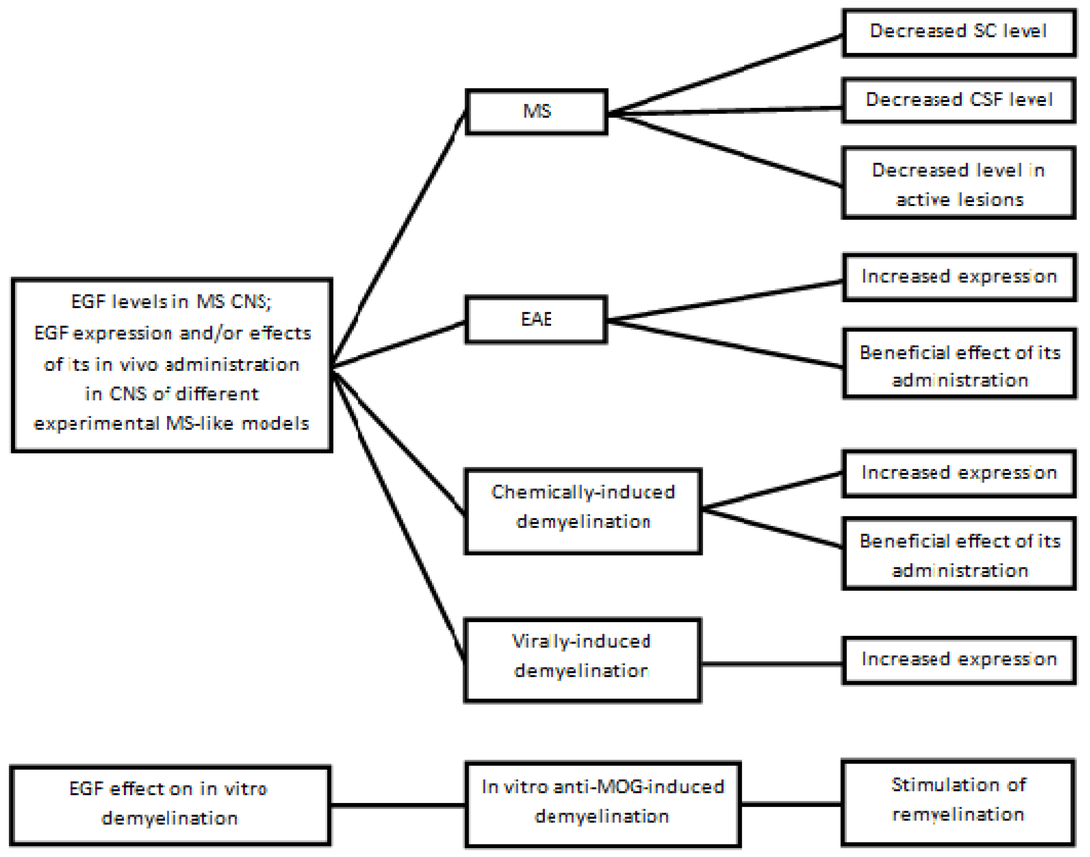 Biomedicines 10 00815 g003