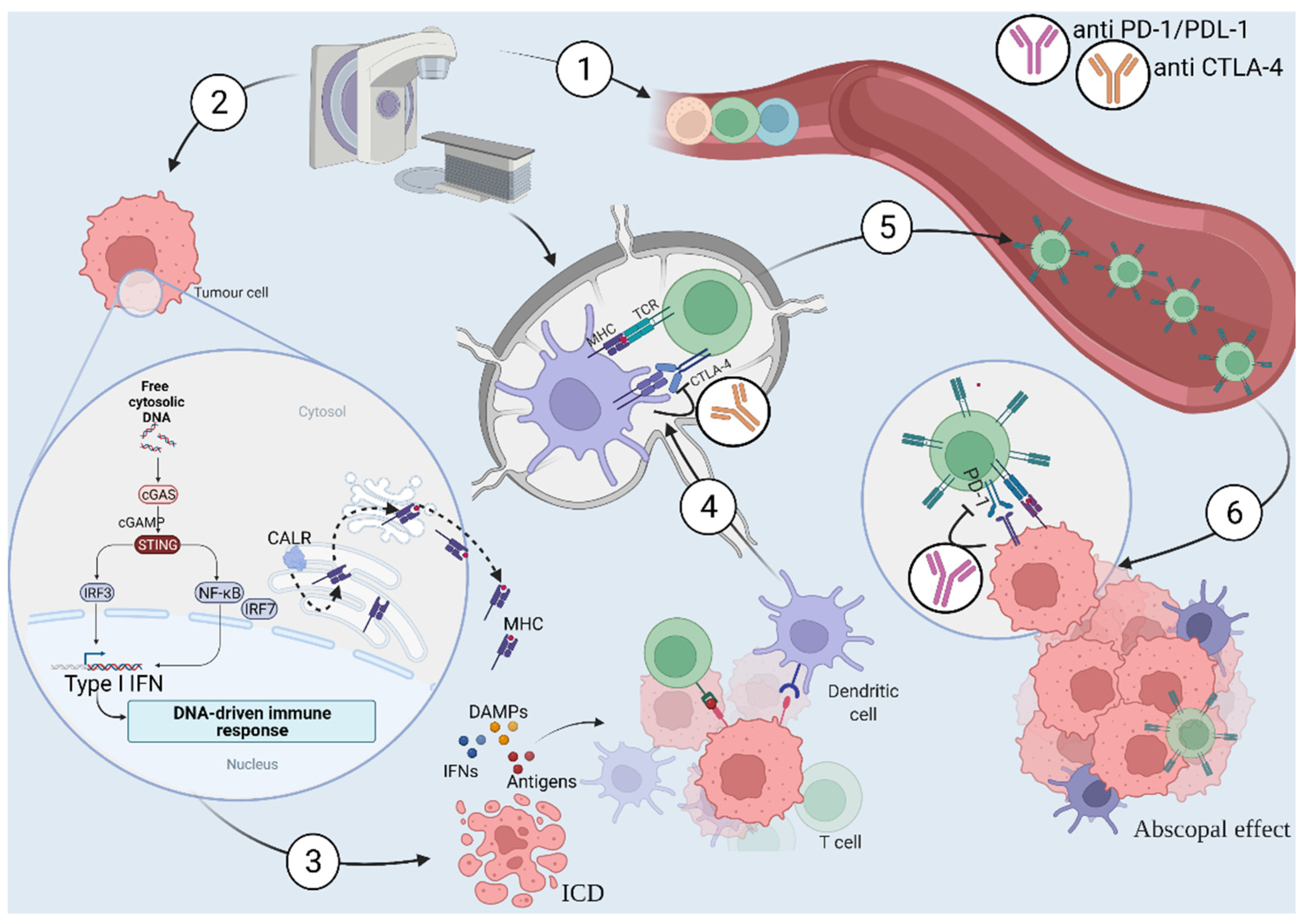 Biomedicines 10 00821 g001