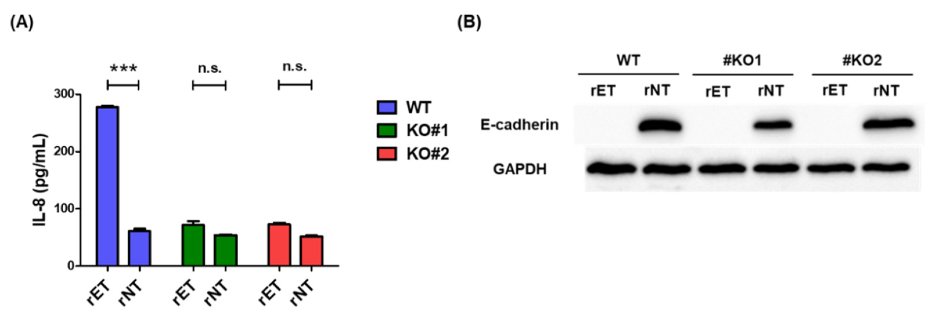 Biomedicines 10 00827 g003