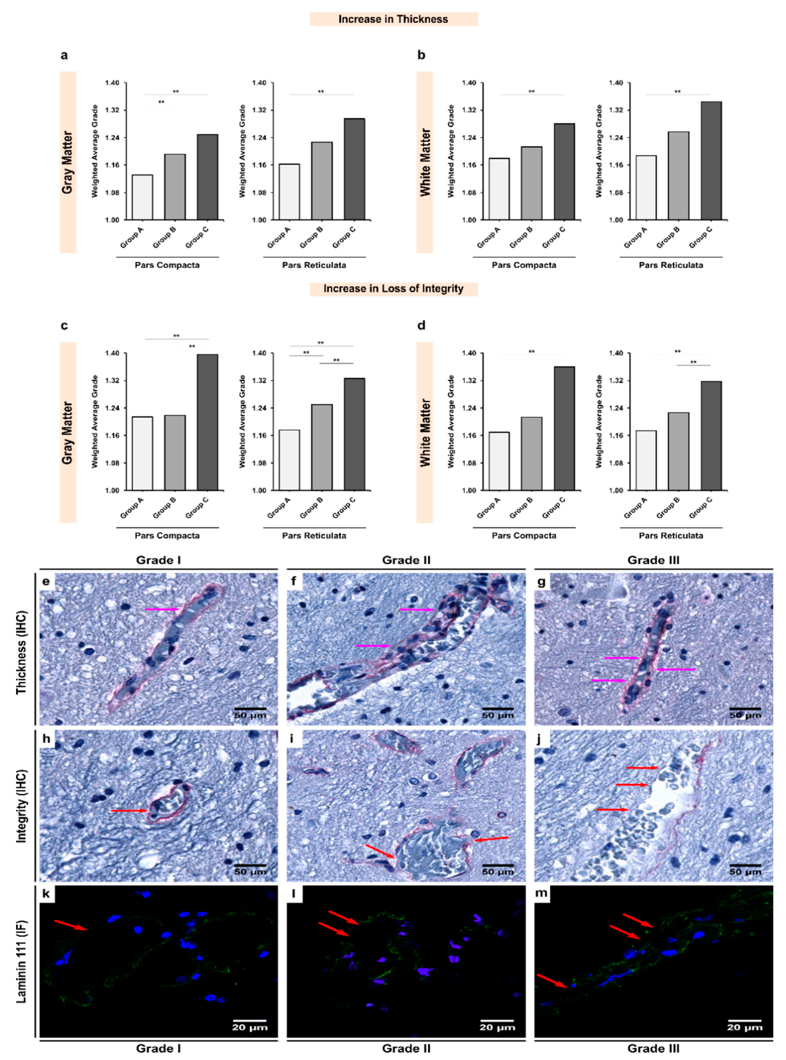 Biomedicines 10 00830 g004