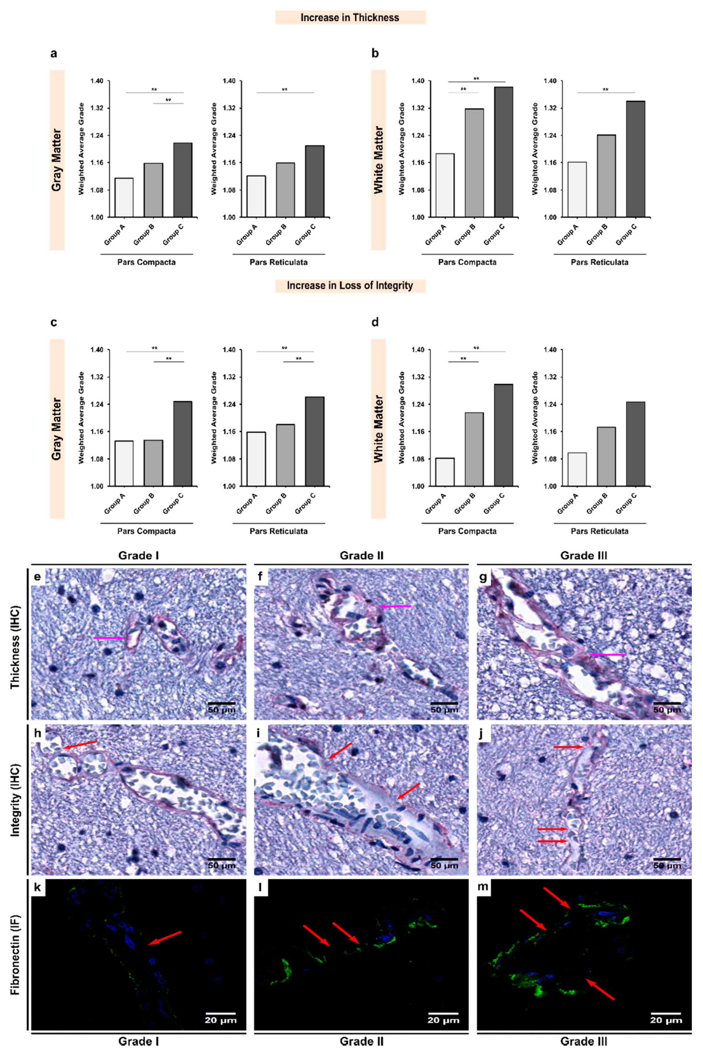 Biomedicines 10 00830 g005