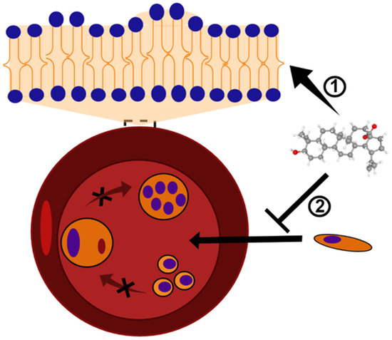 Biomedicines 10 00831 g002