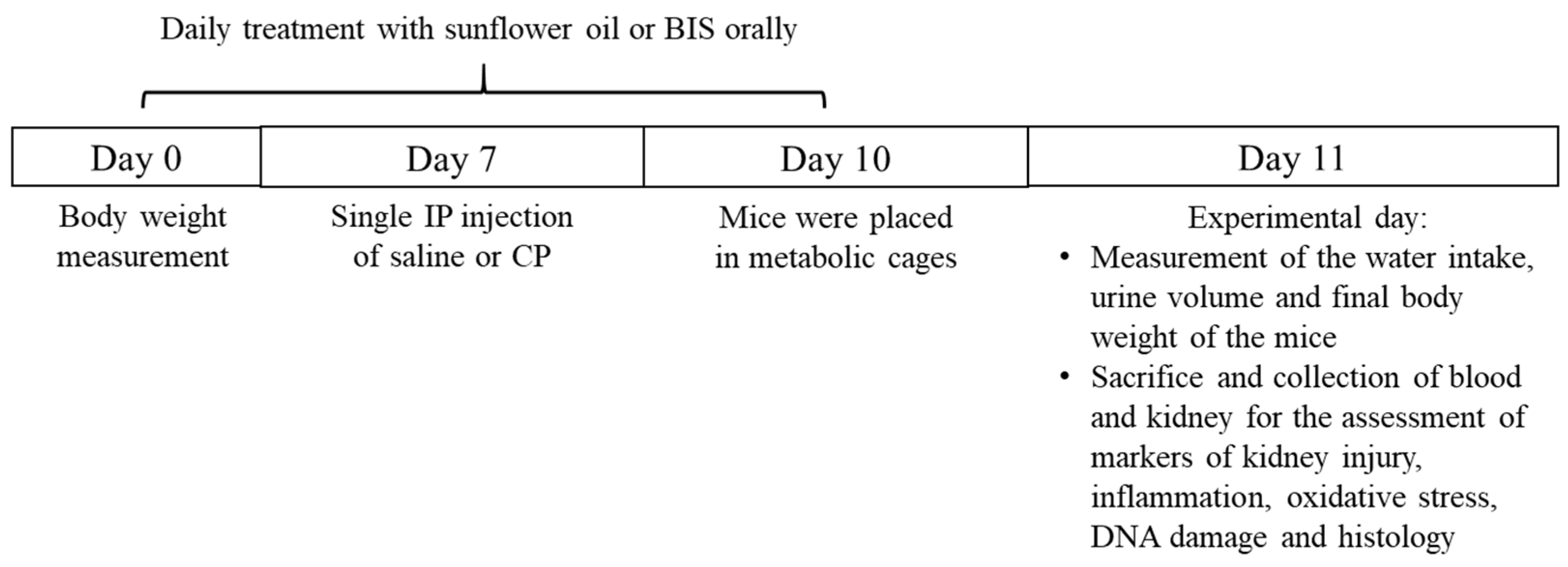 Biomedicines 10 00842 g001