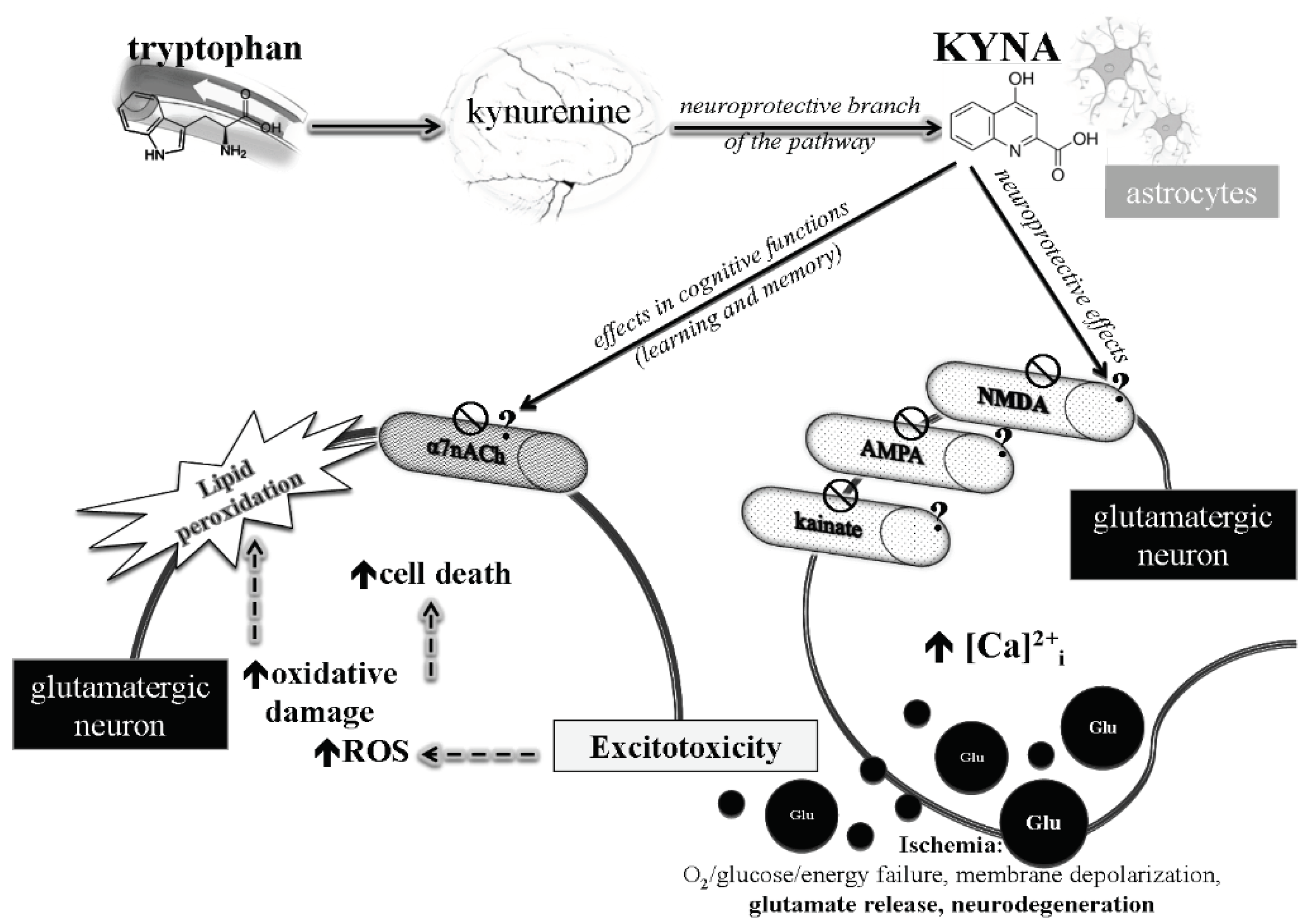 Biomedicines 10 00849 g001