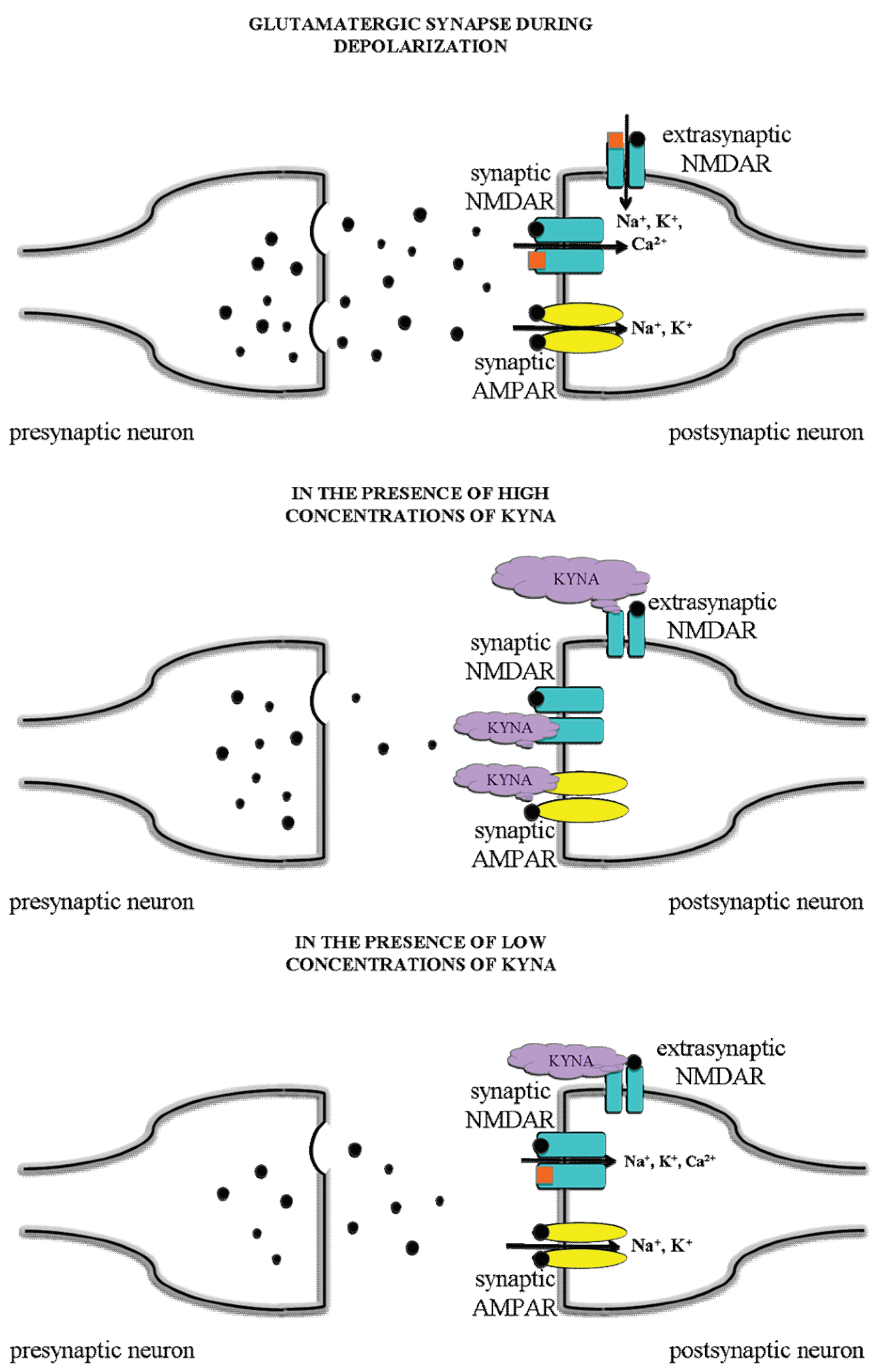 Biomedicines 10 00849 g004