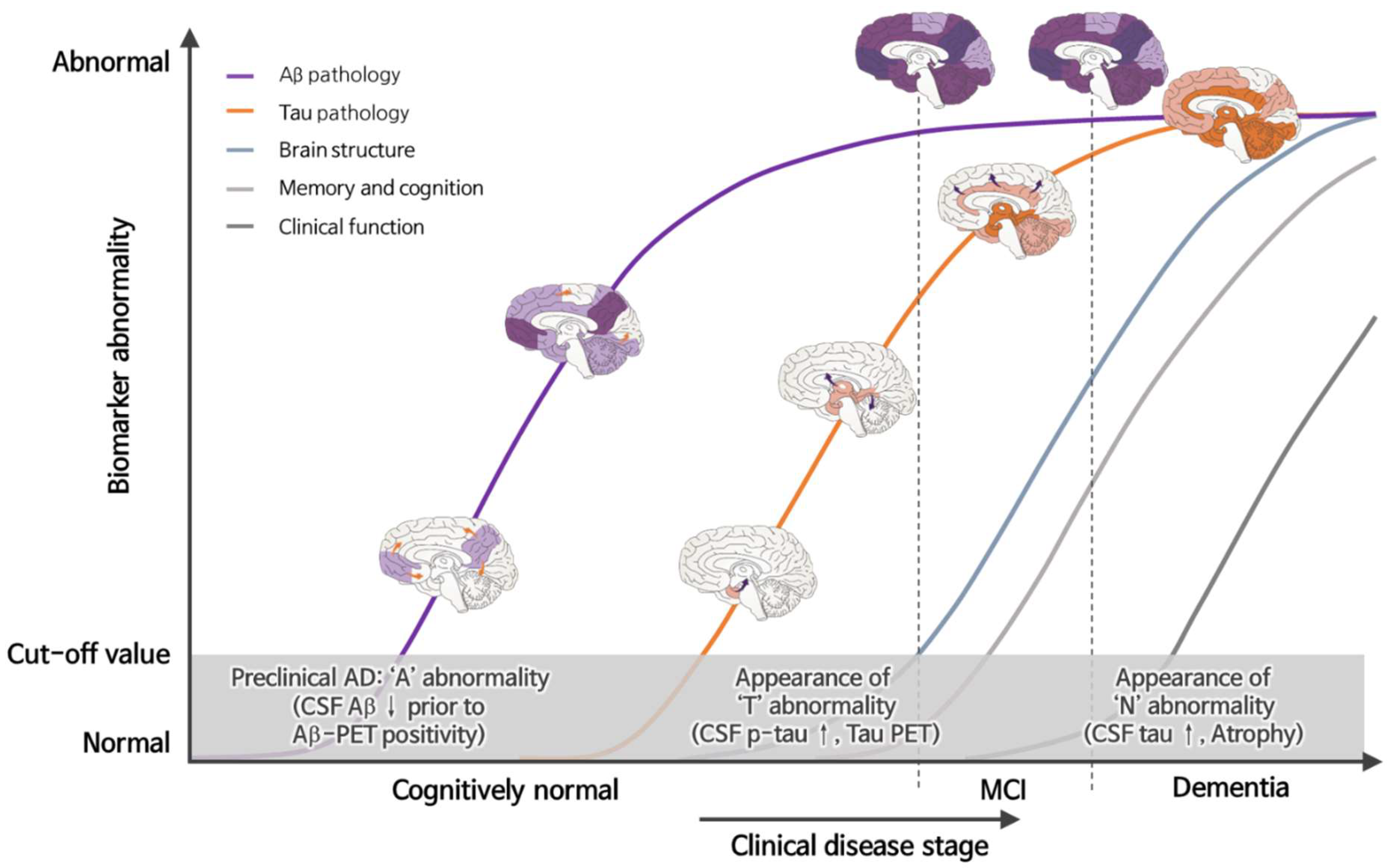 Biomedicines 10 00850 g001