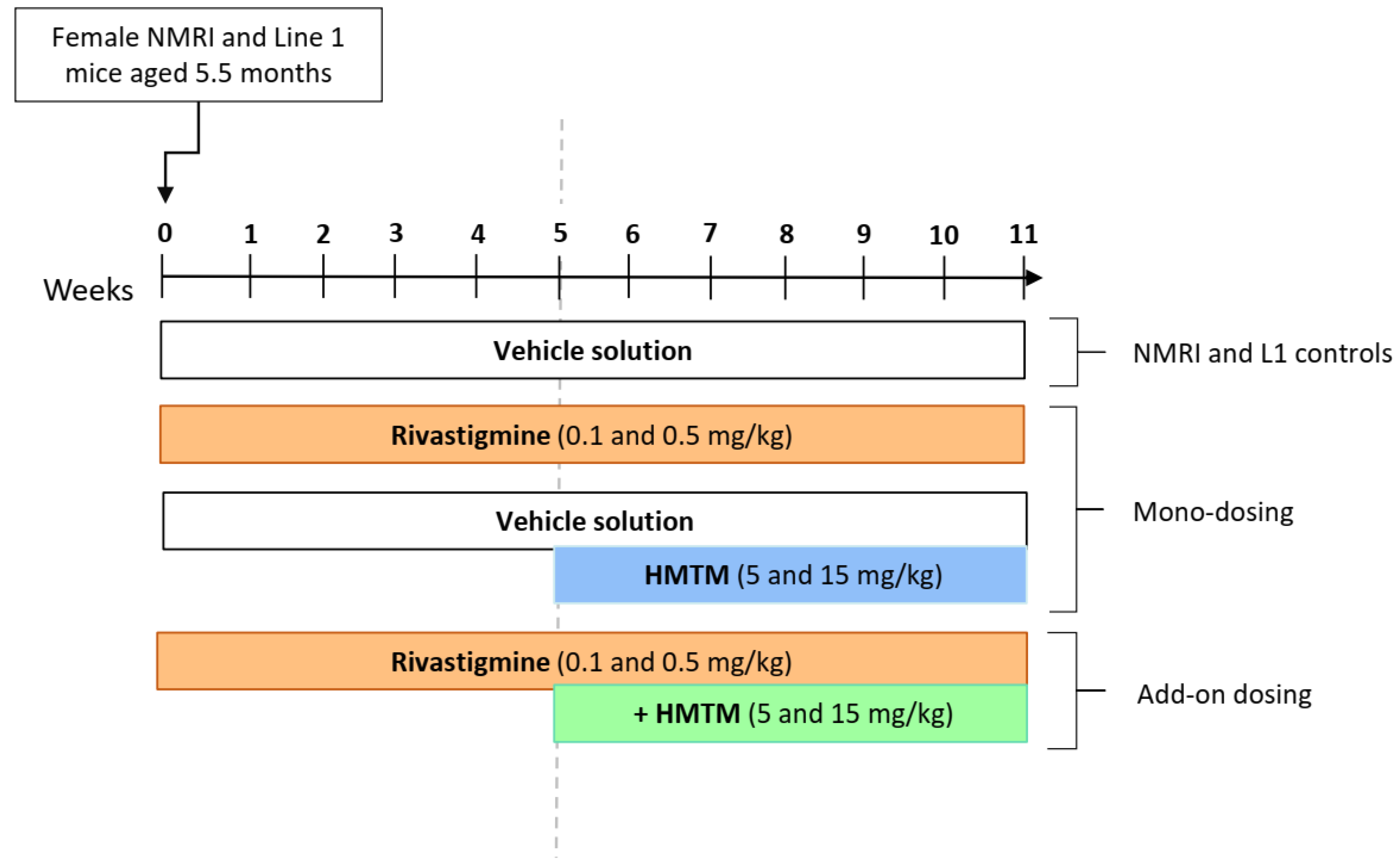 Biomedicines 10 00867 g001