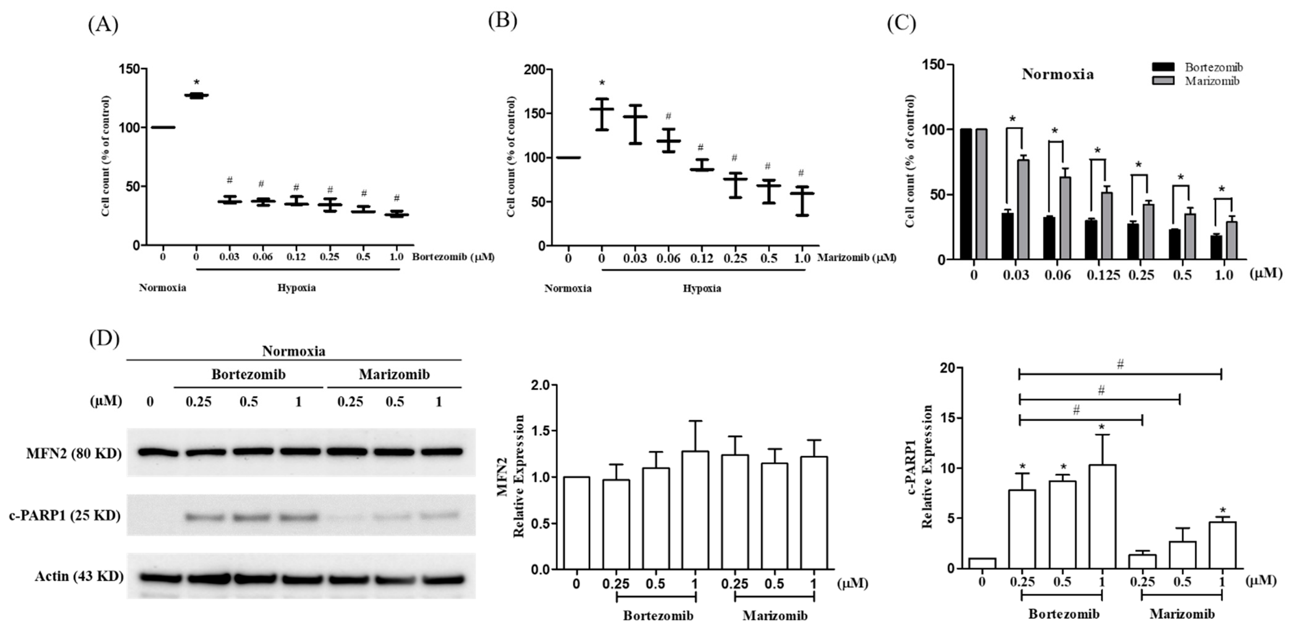 Biomedicines 10 00873 g003