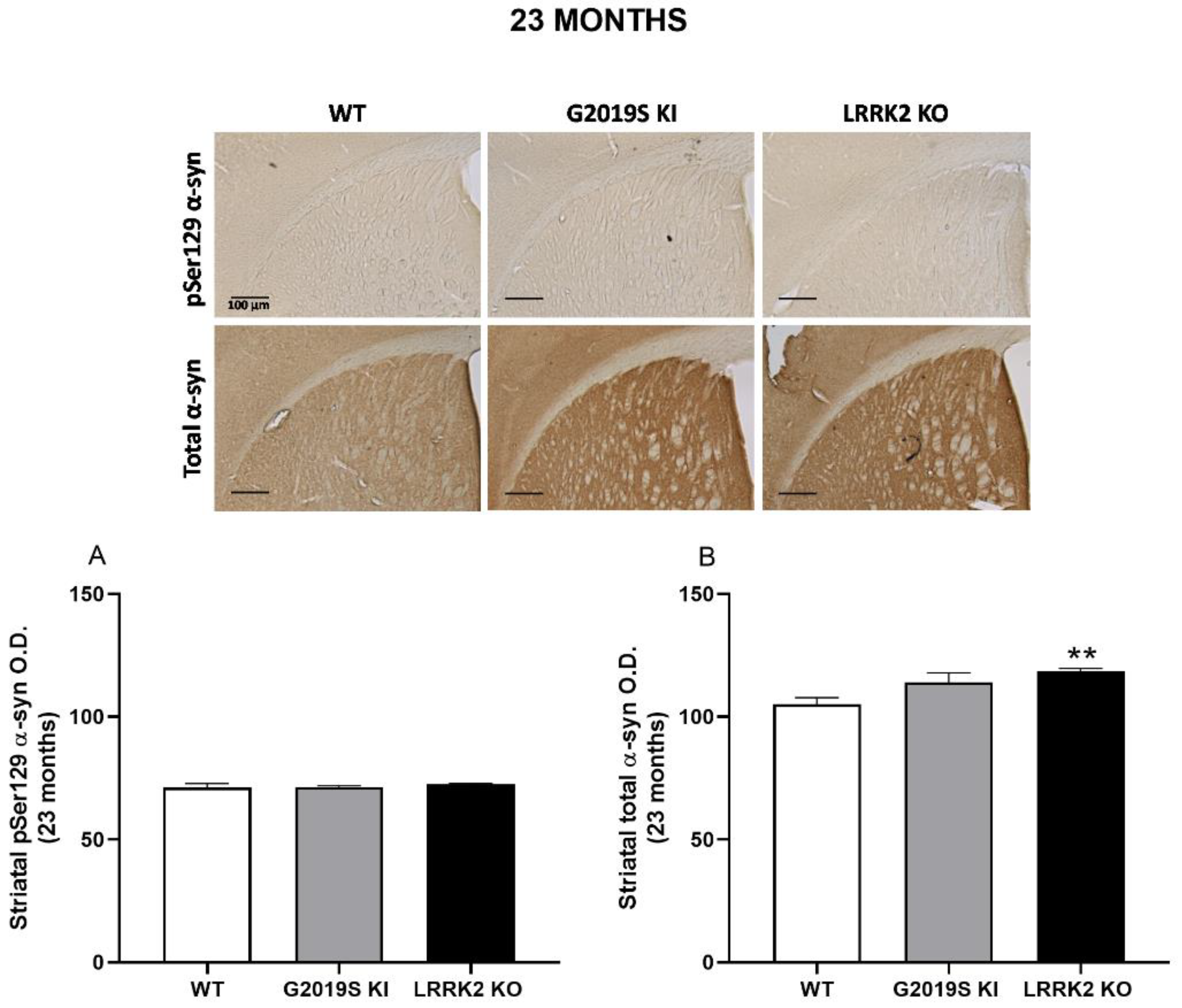 Biomedicines 10 00881 g009