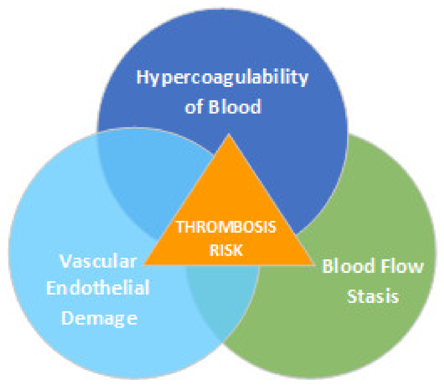 Biomedicines 10 00888 g001 Biomedicines 10 00888 g001