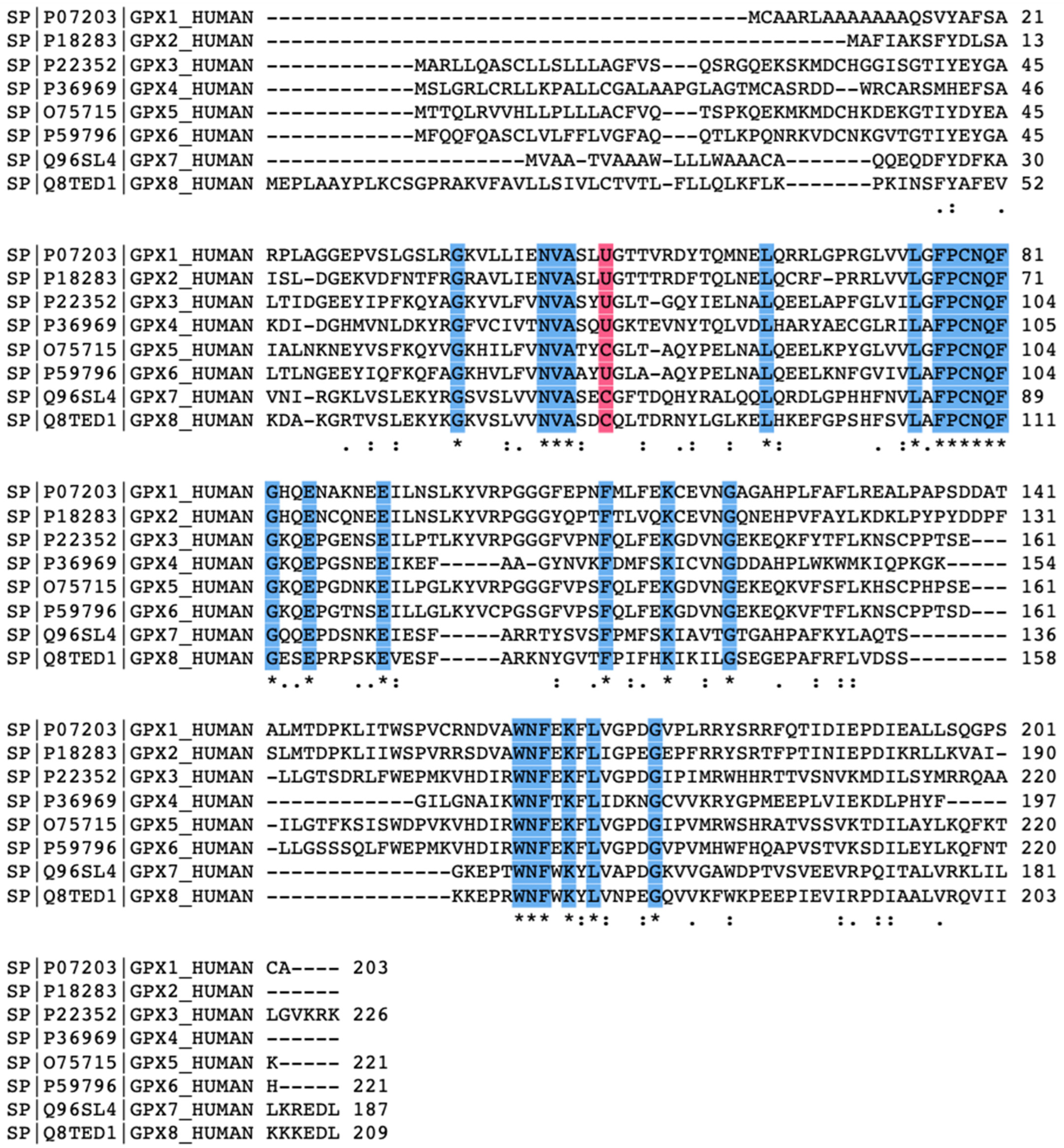 Biomedicines 10 00891 g002