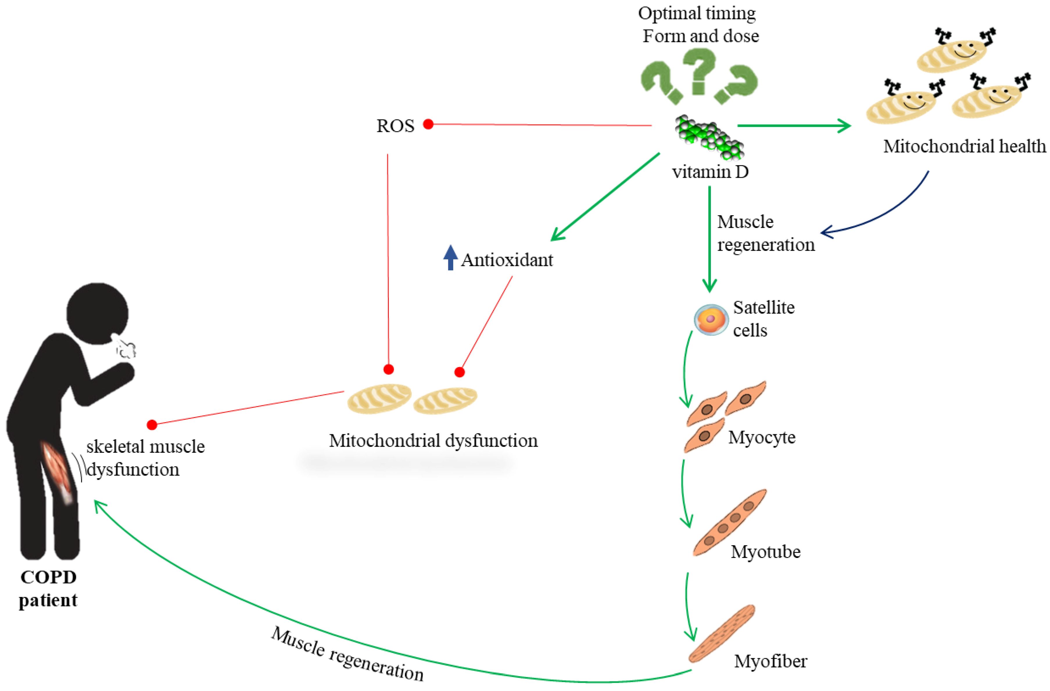 Biomedicines 10 00898 g003 Biomedicines 10 00898 g003