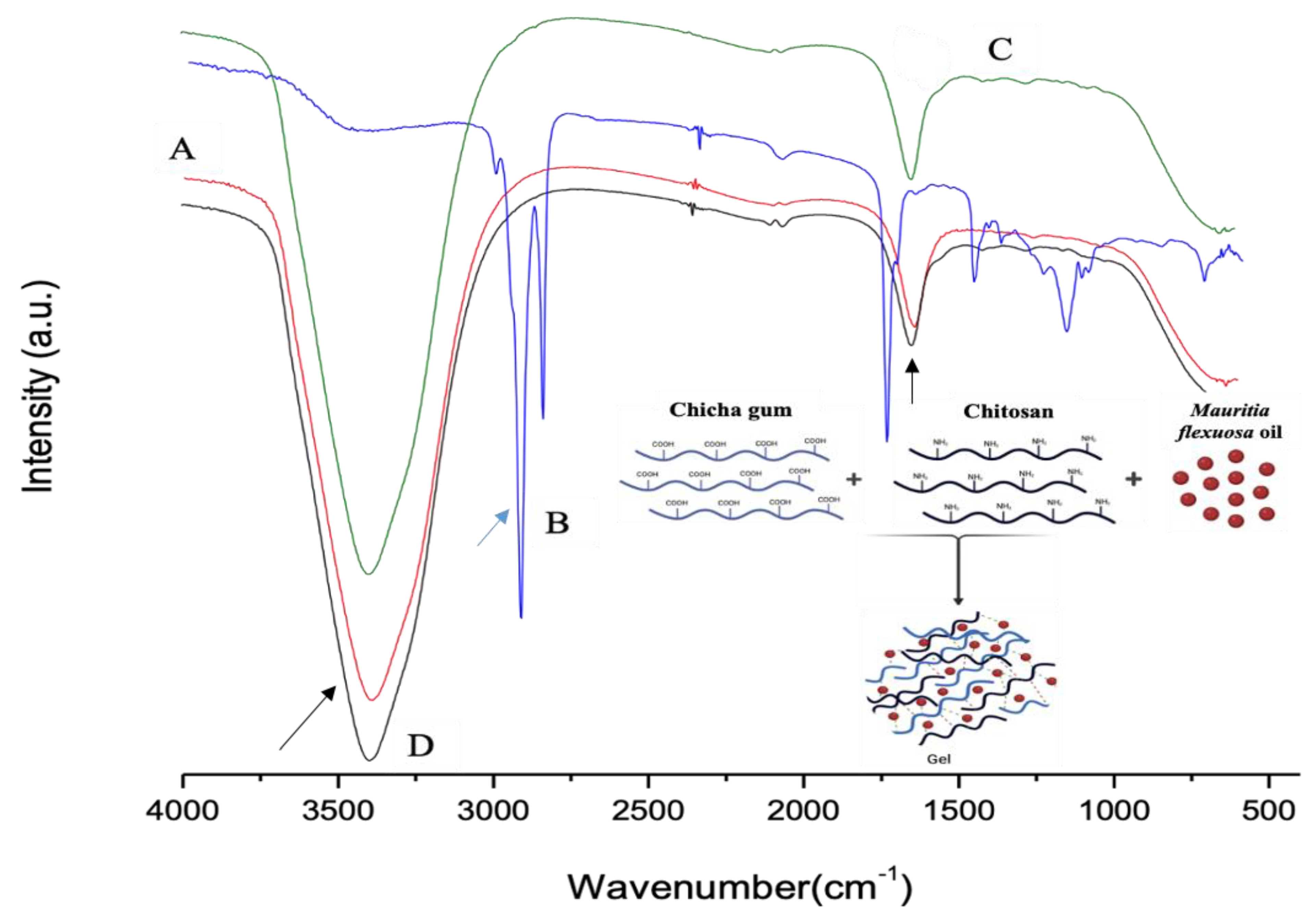 Biomedicines 10 00899 g001