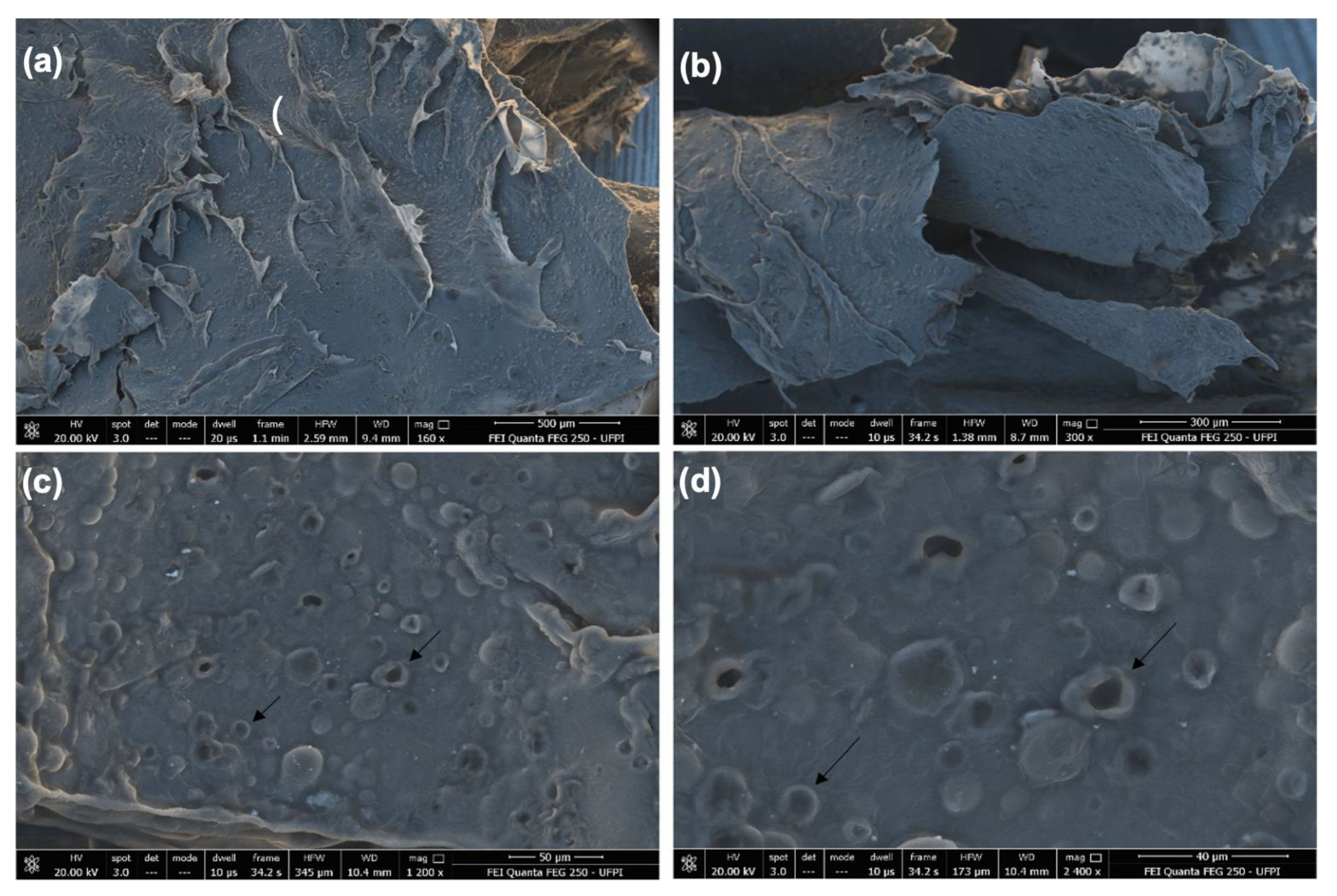 Biomedicines 10 00899 g002