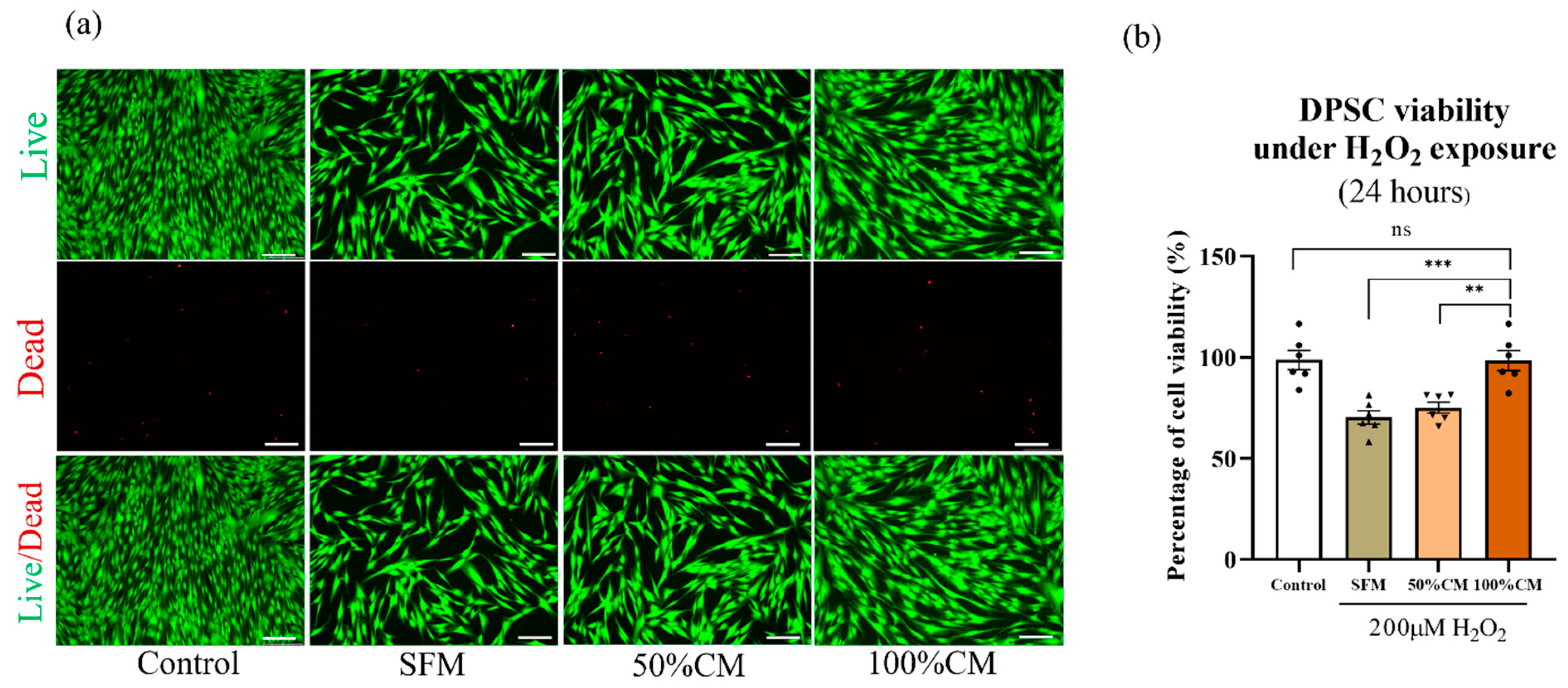 Biomedicines 10 00906 g003
