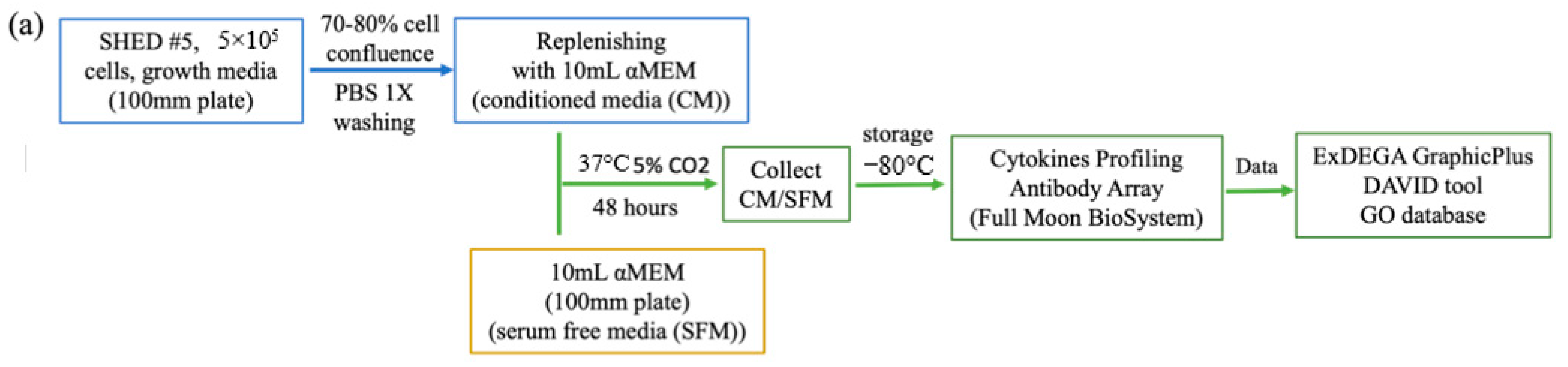 Biomedicines 10 00906 g004a